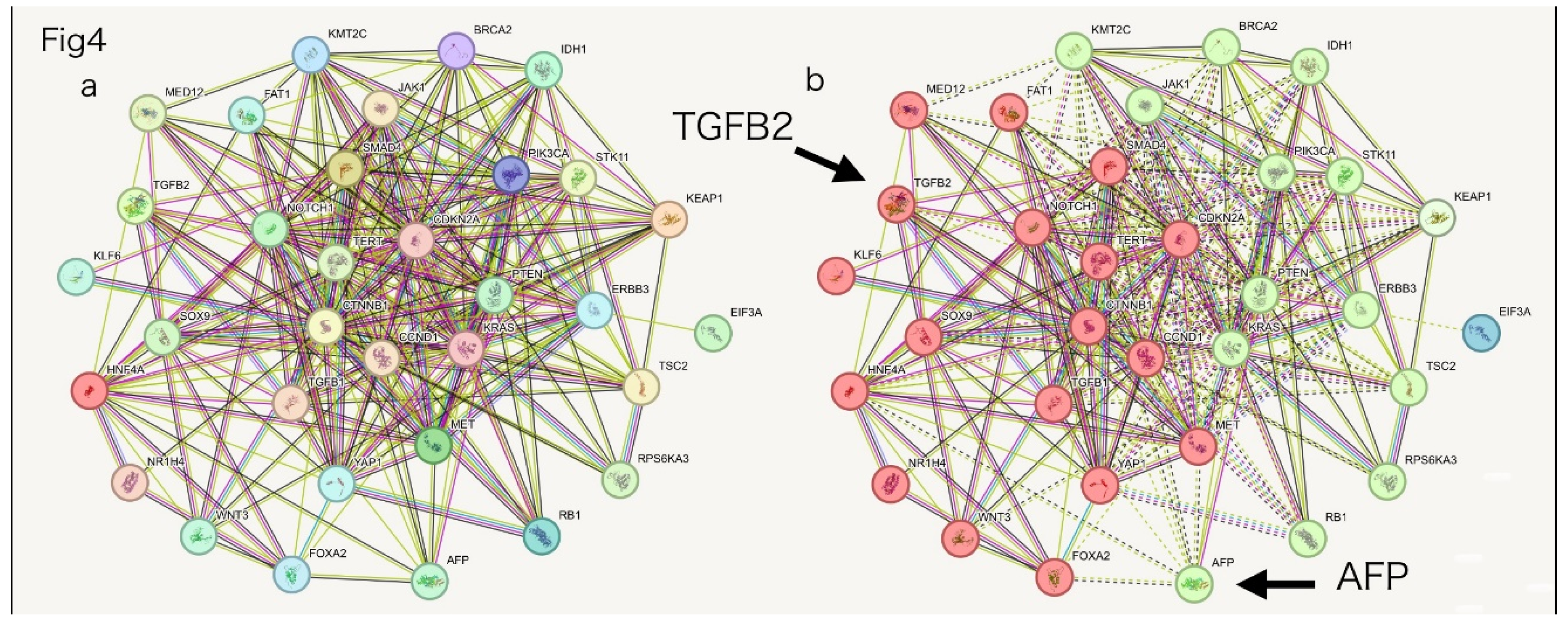 Preprints 167909 g004