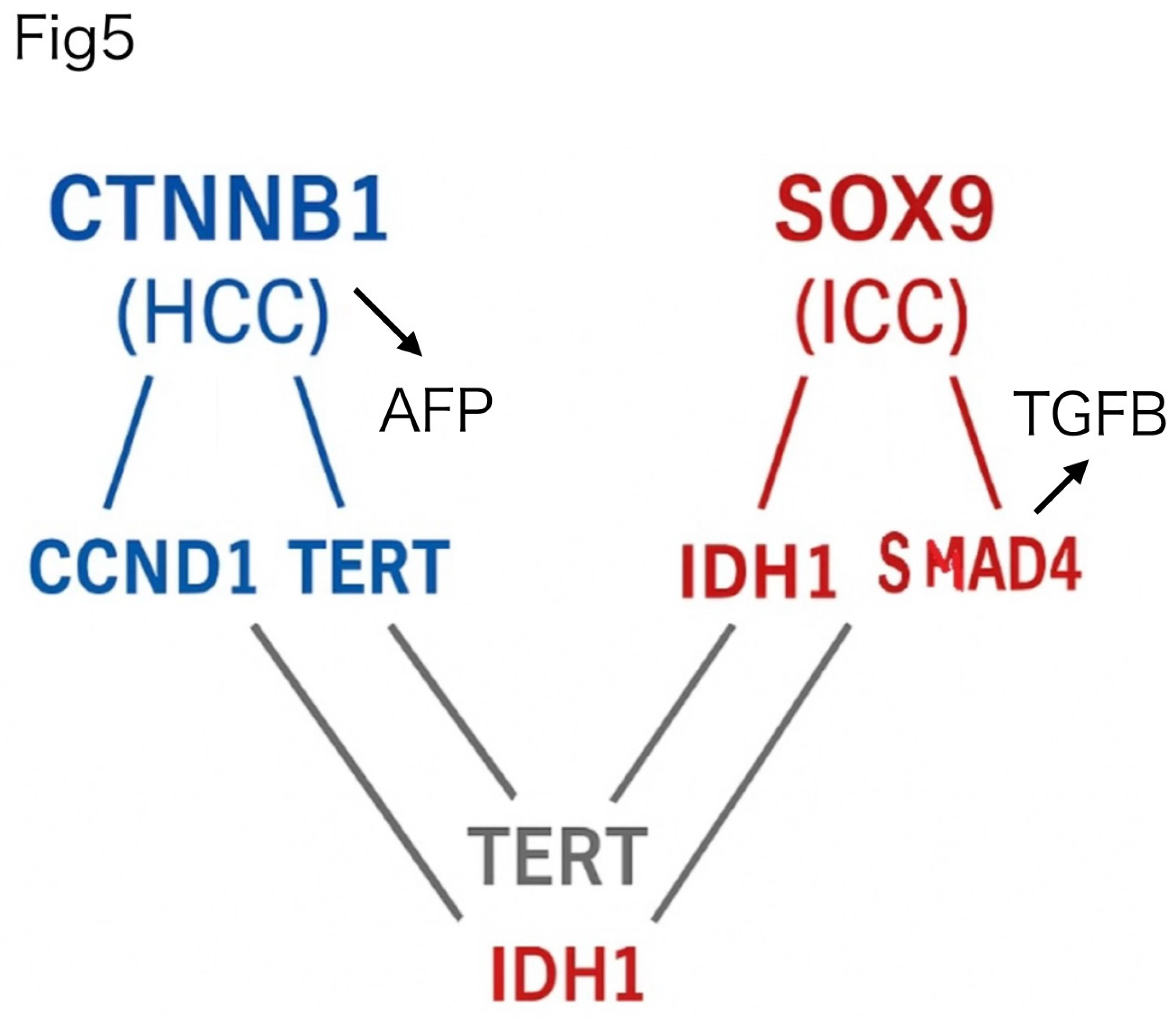 Preprints 167909 g005