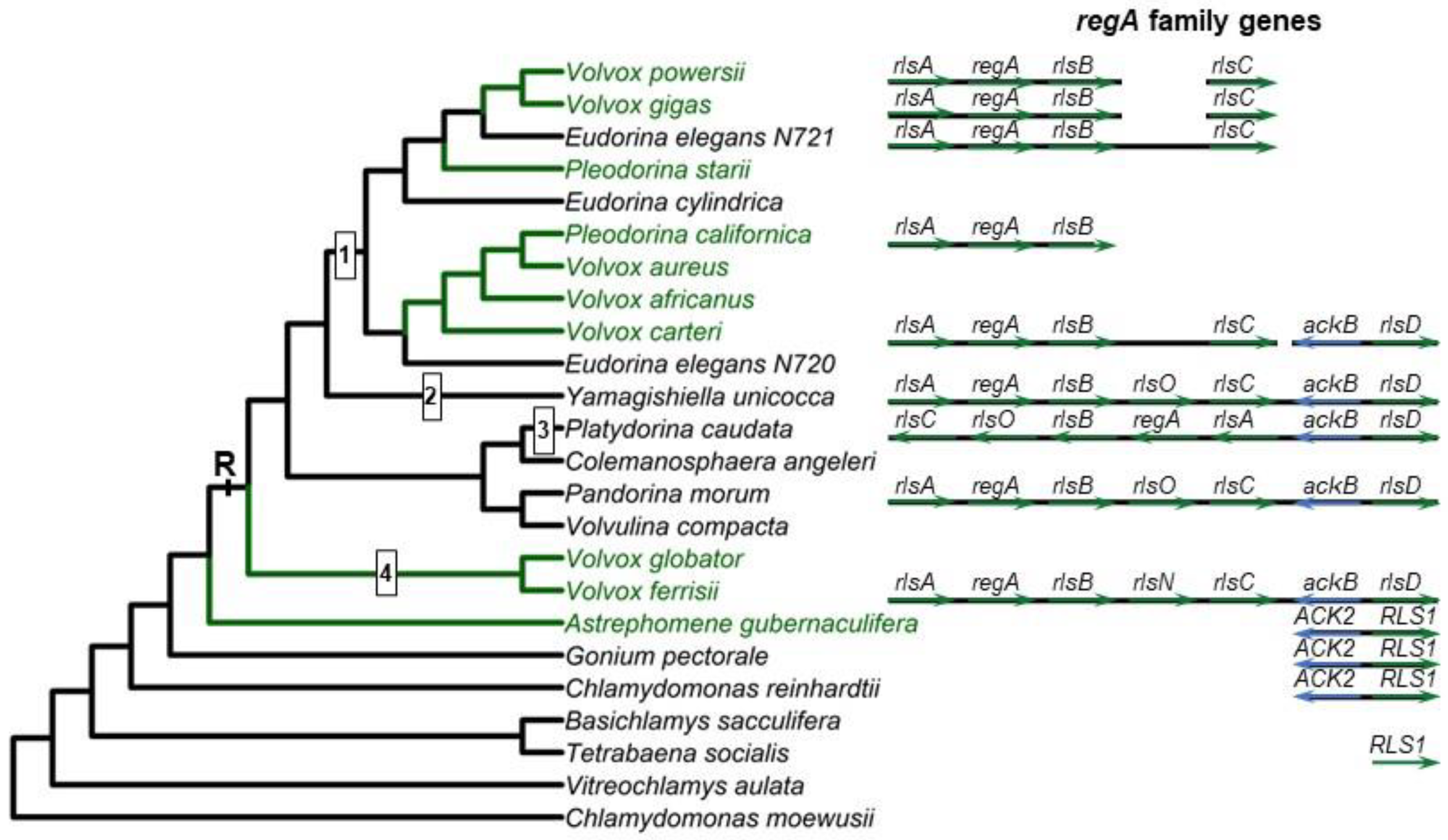 Preprints 68818 g002