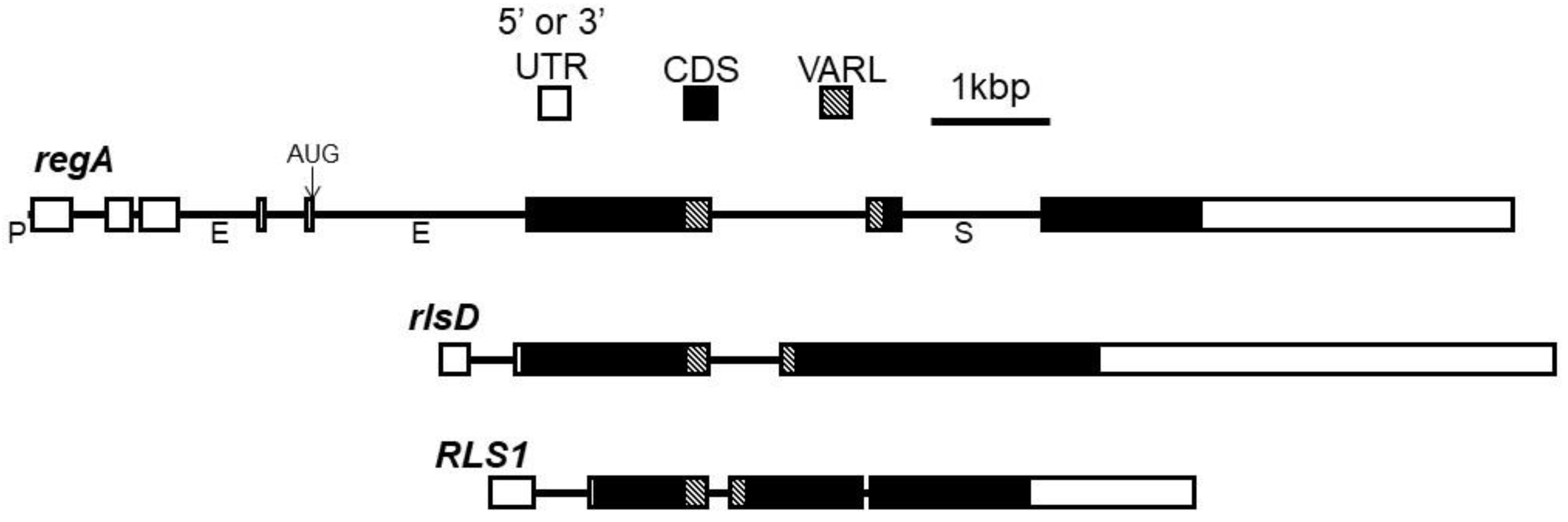 Preprints 68818 g003
