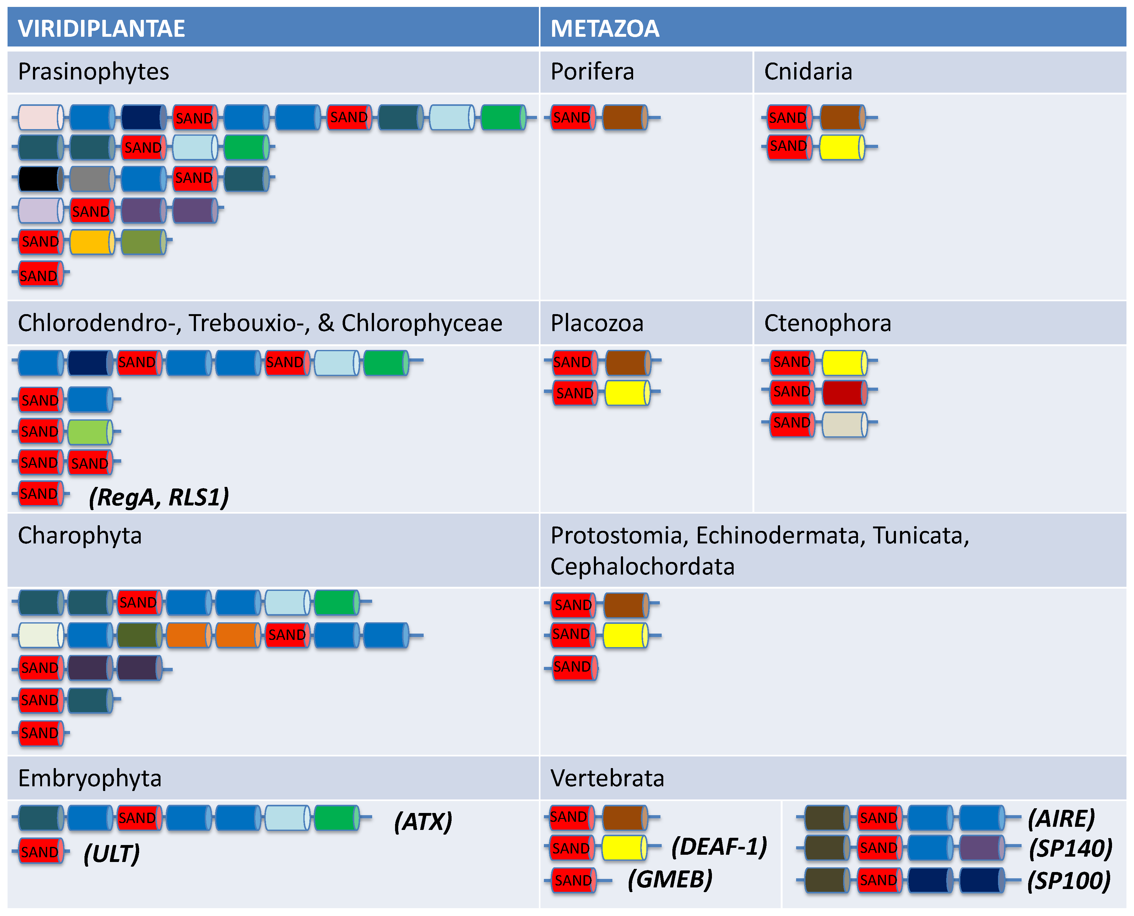 Preprints 68818 g006