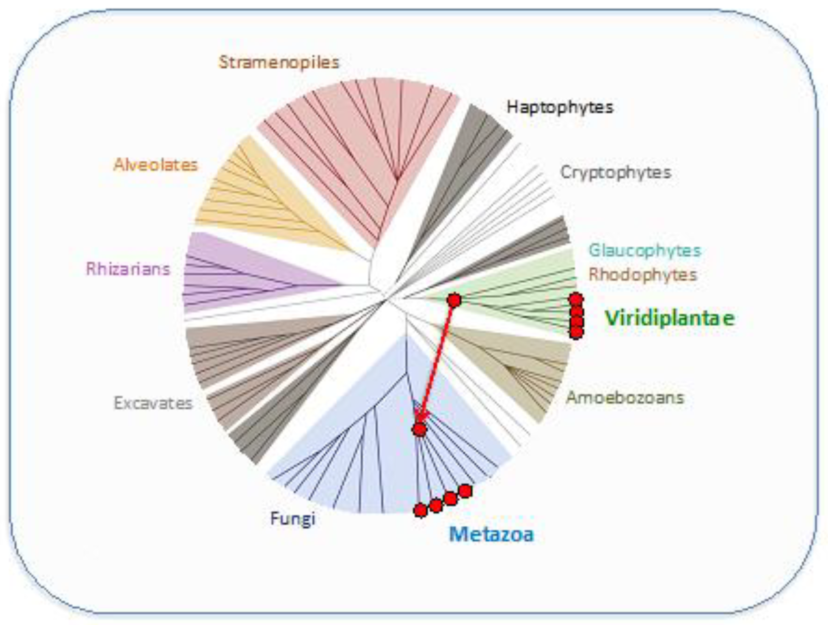Preprints 68818 g007