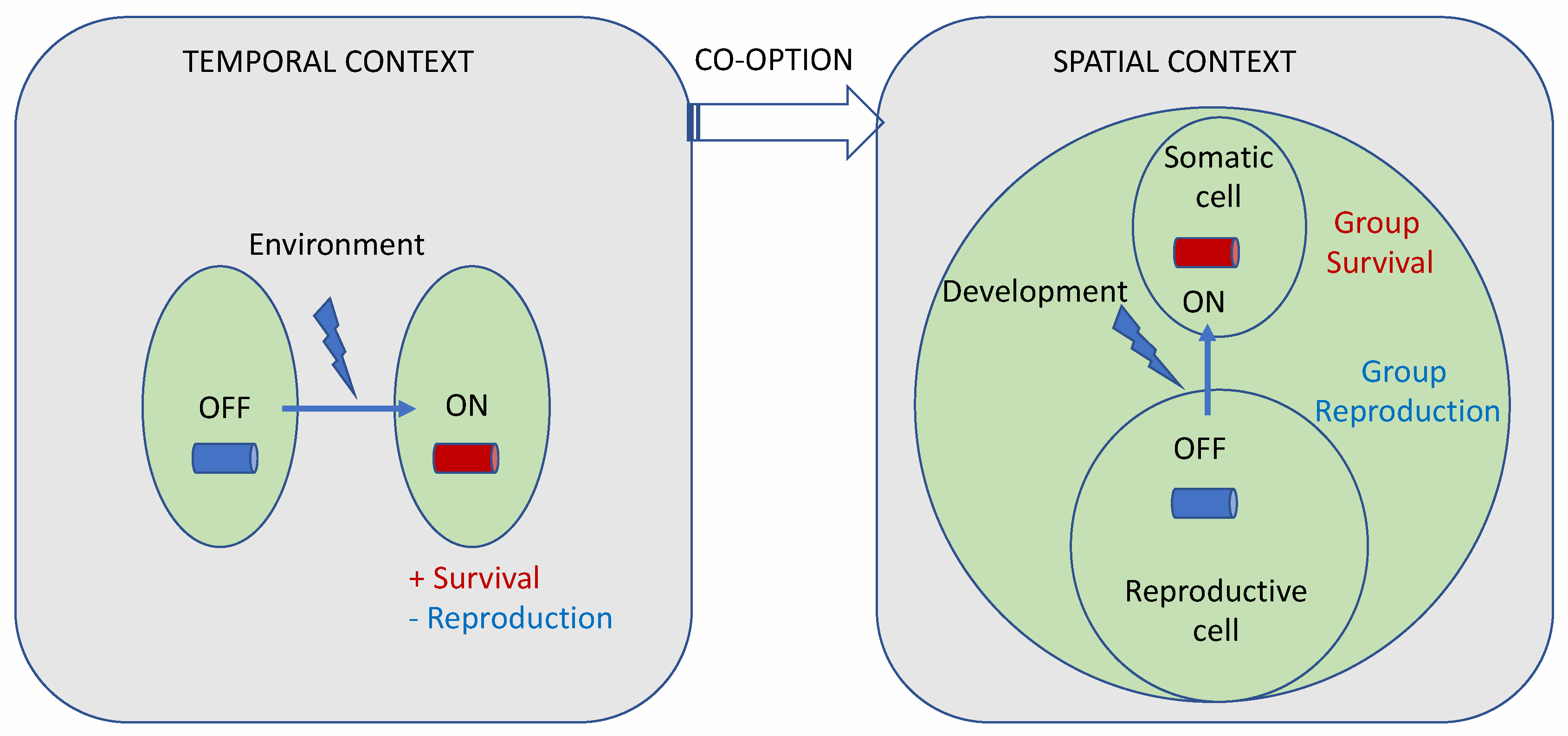 Preprints 68818 g008