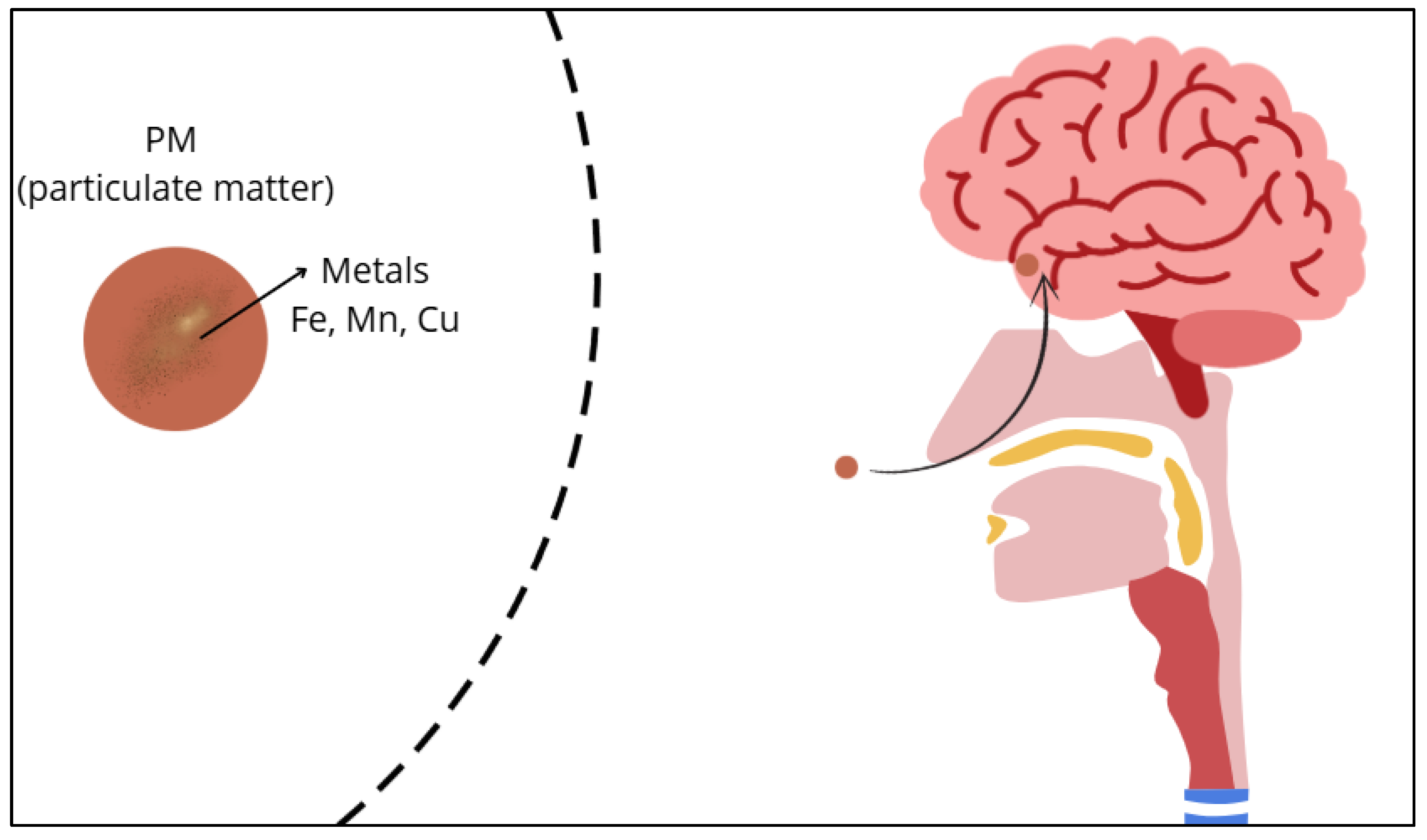 Preprints 170981 g001