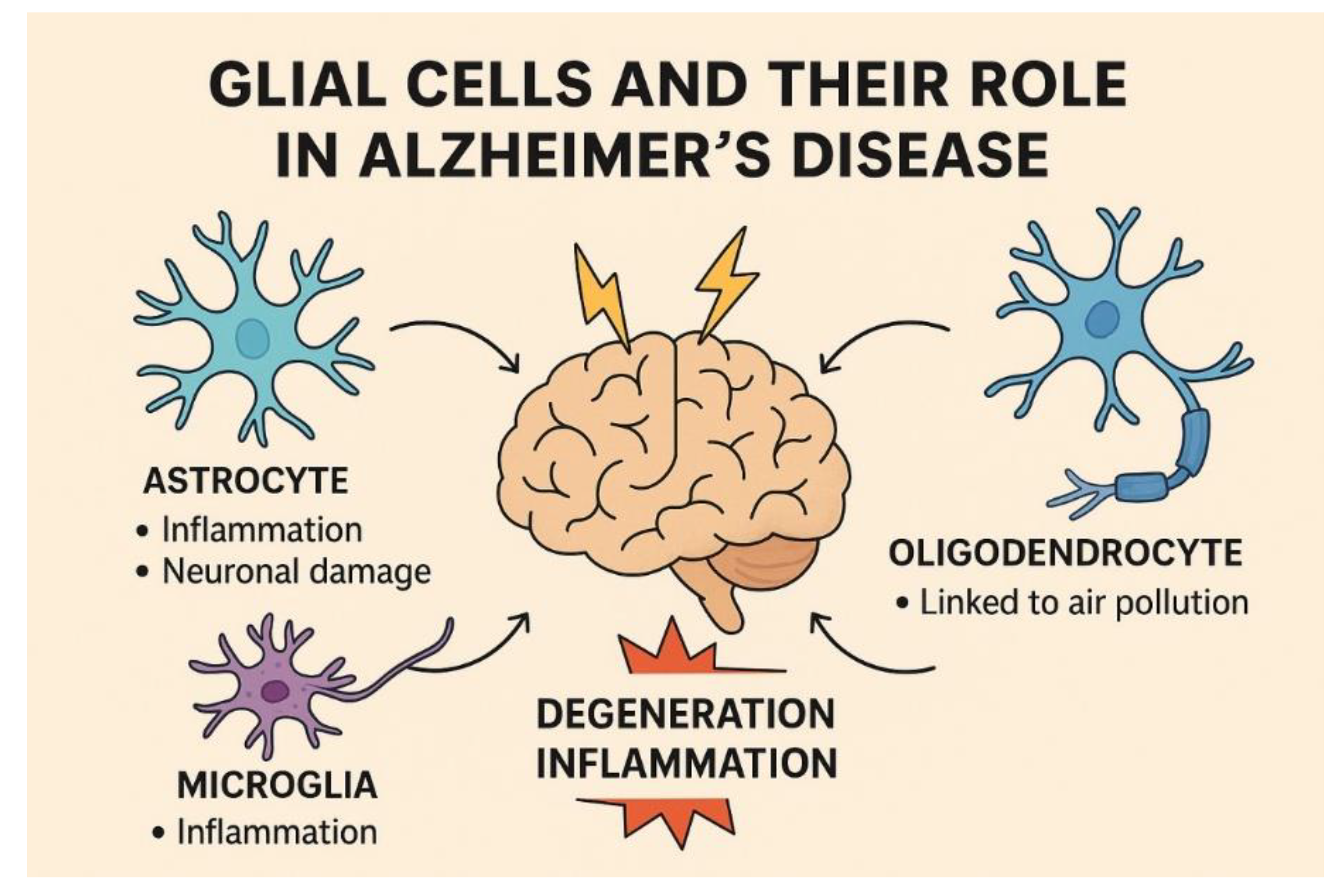 Preprints 170981 g005