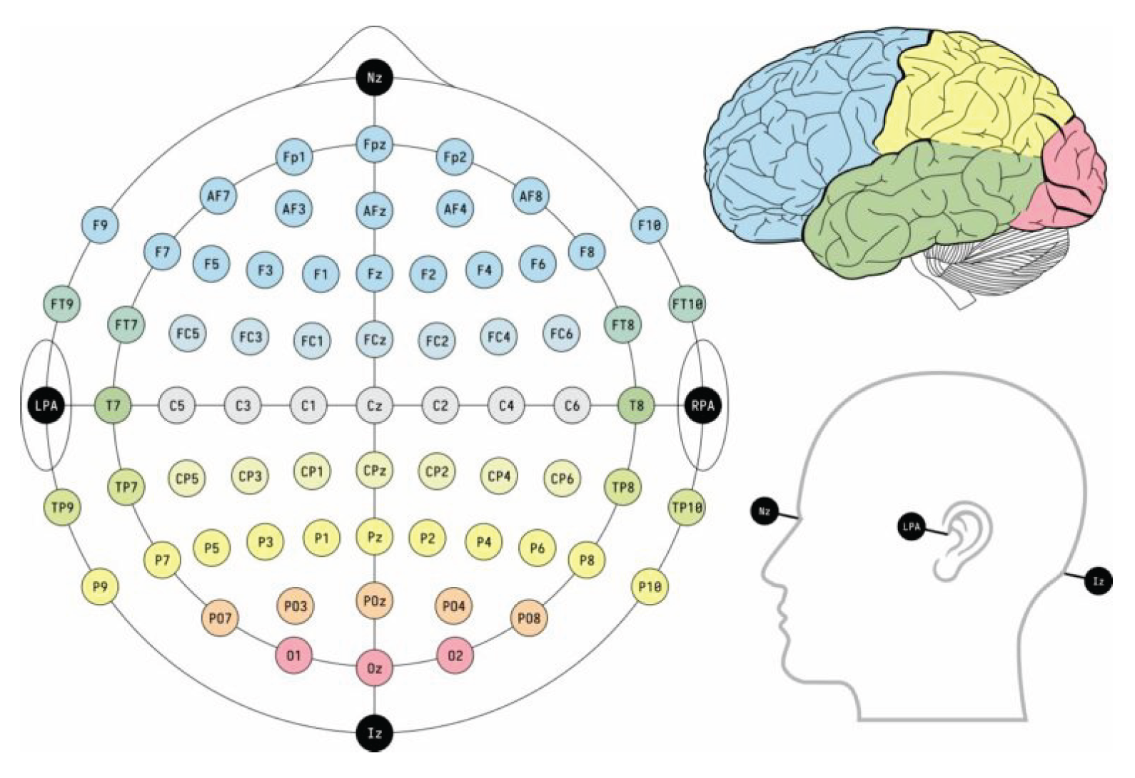 Preprints 159789 g001