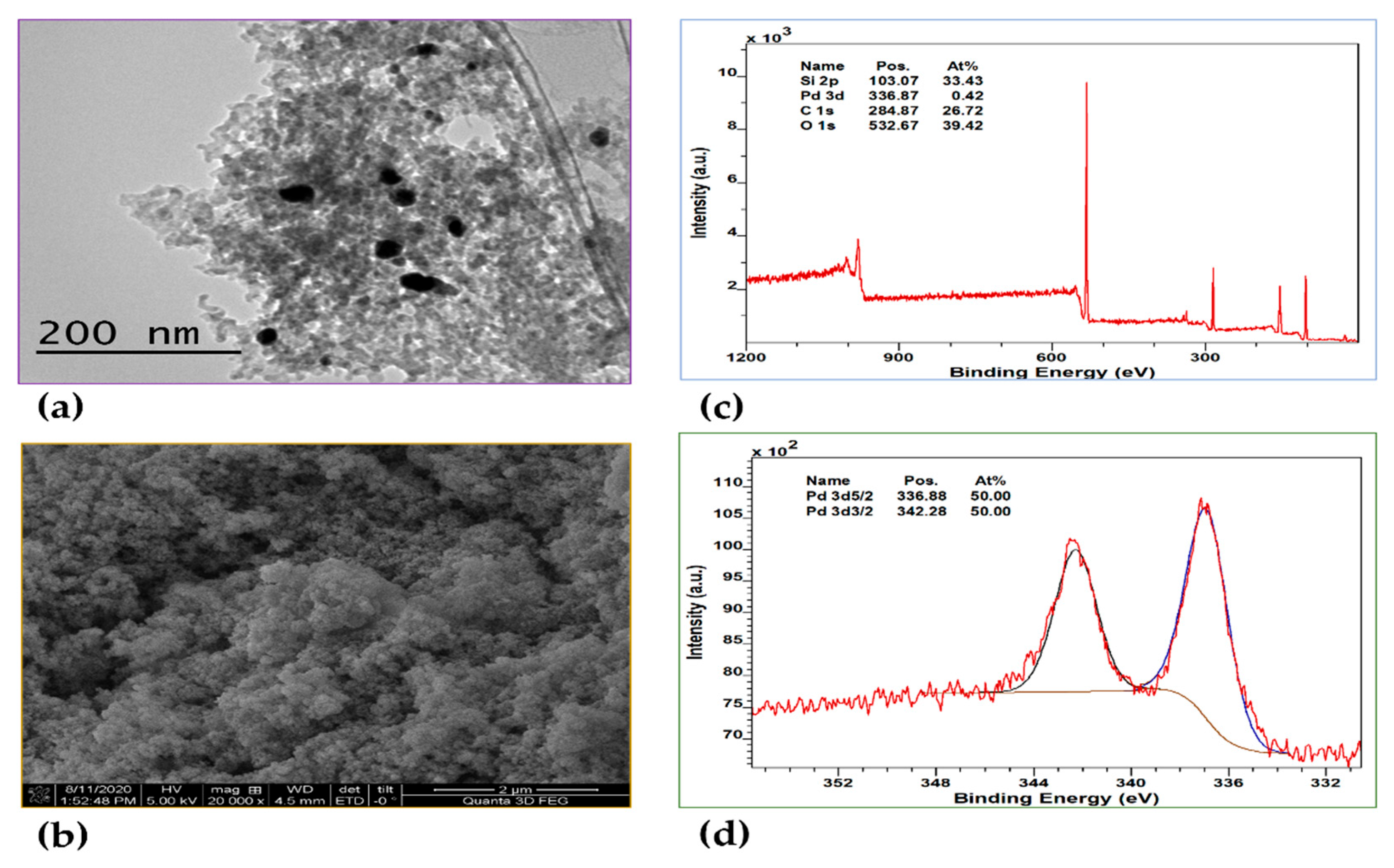 Preprints 167165 g003