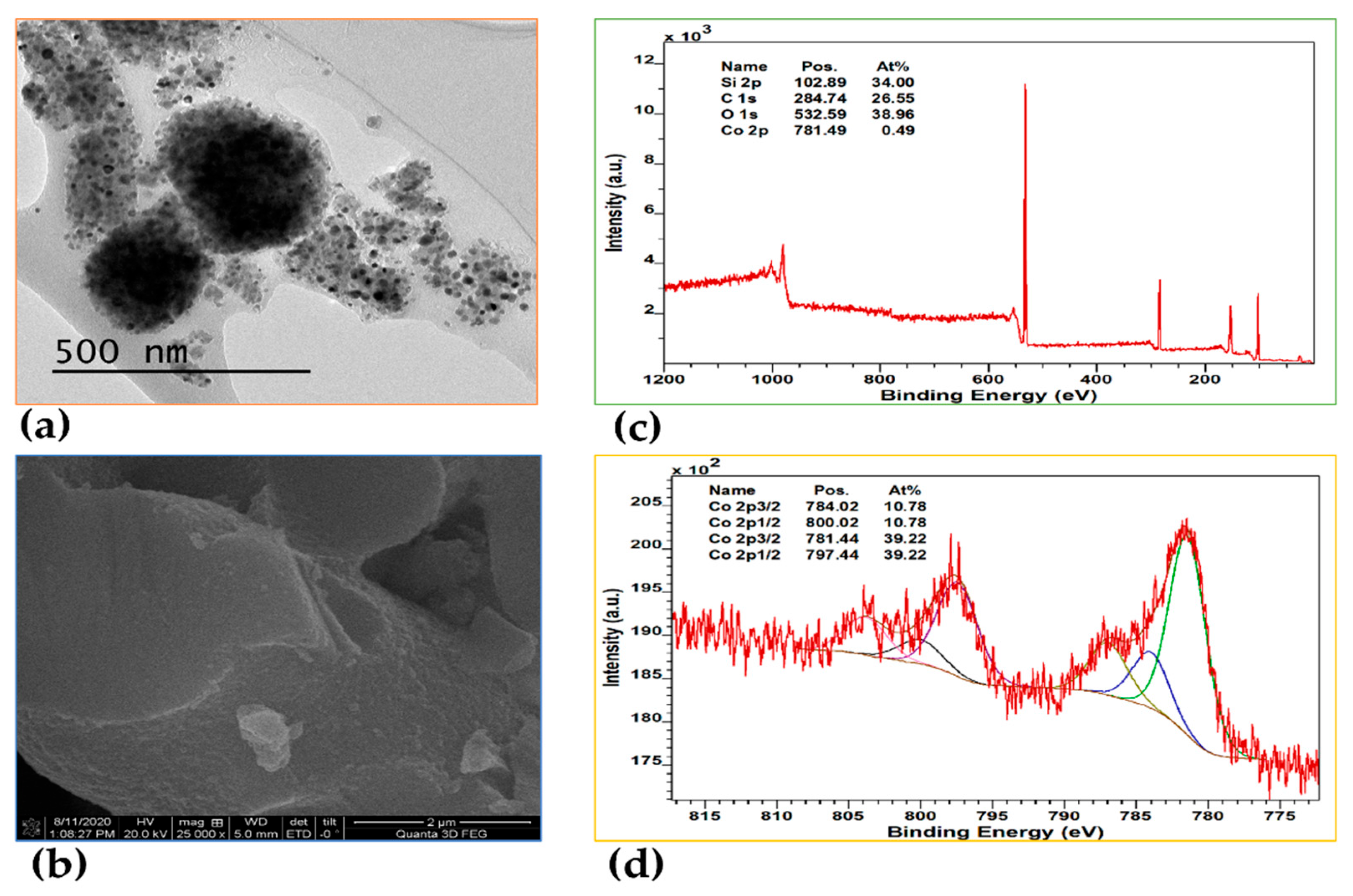 Preprints 167165 g004