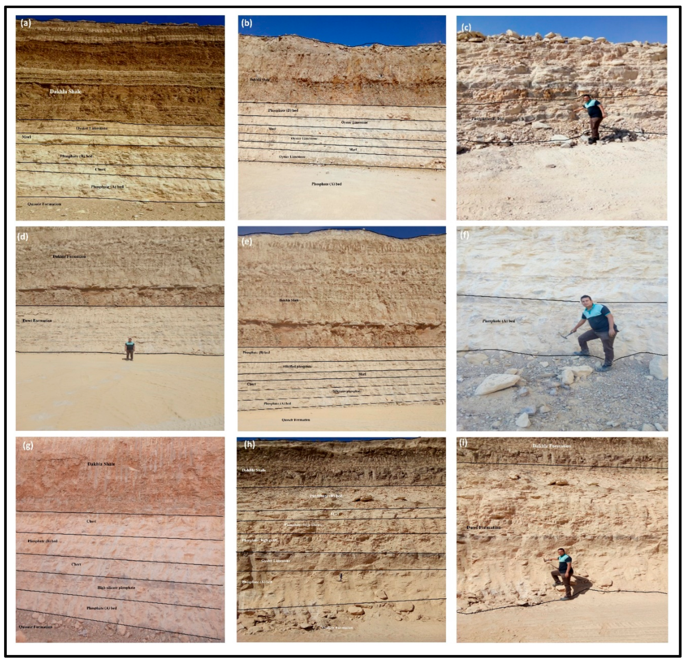 Preprints 200776 g004