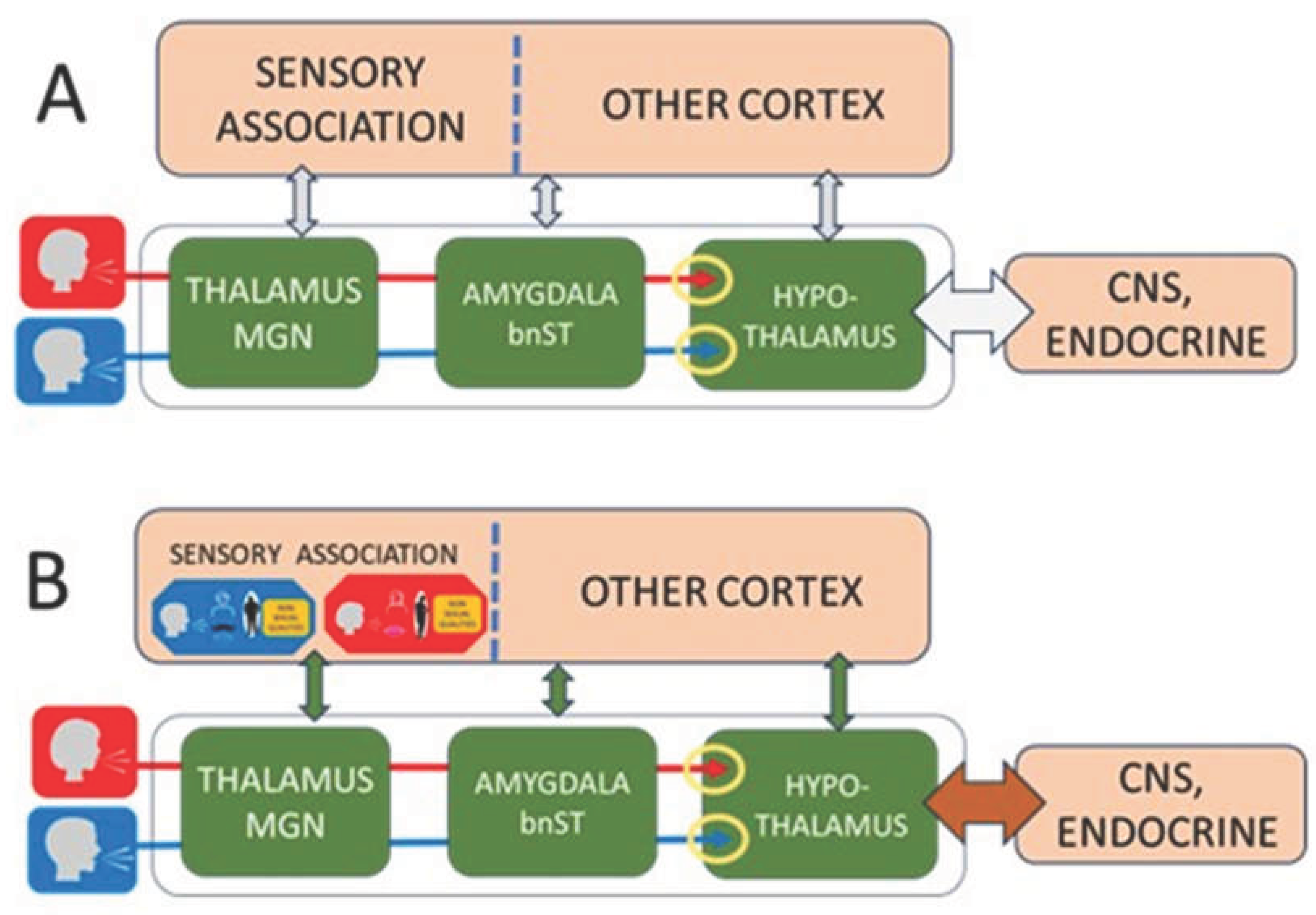 Preprints 190139 g001