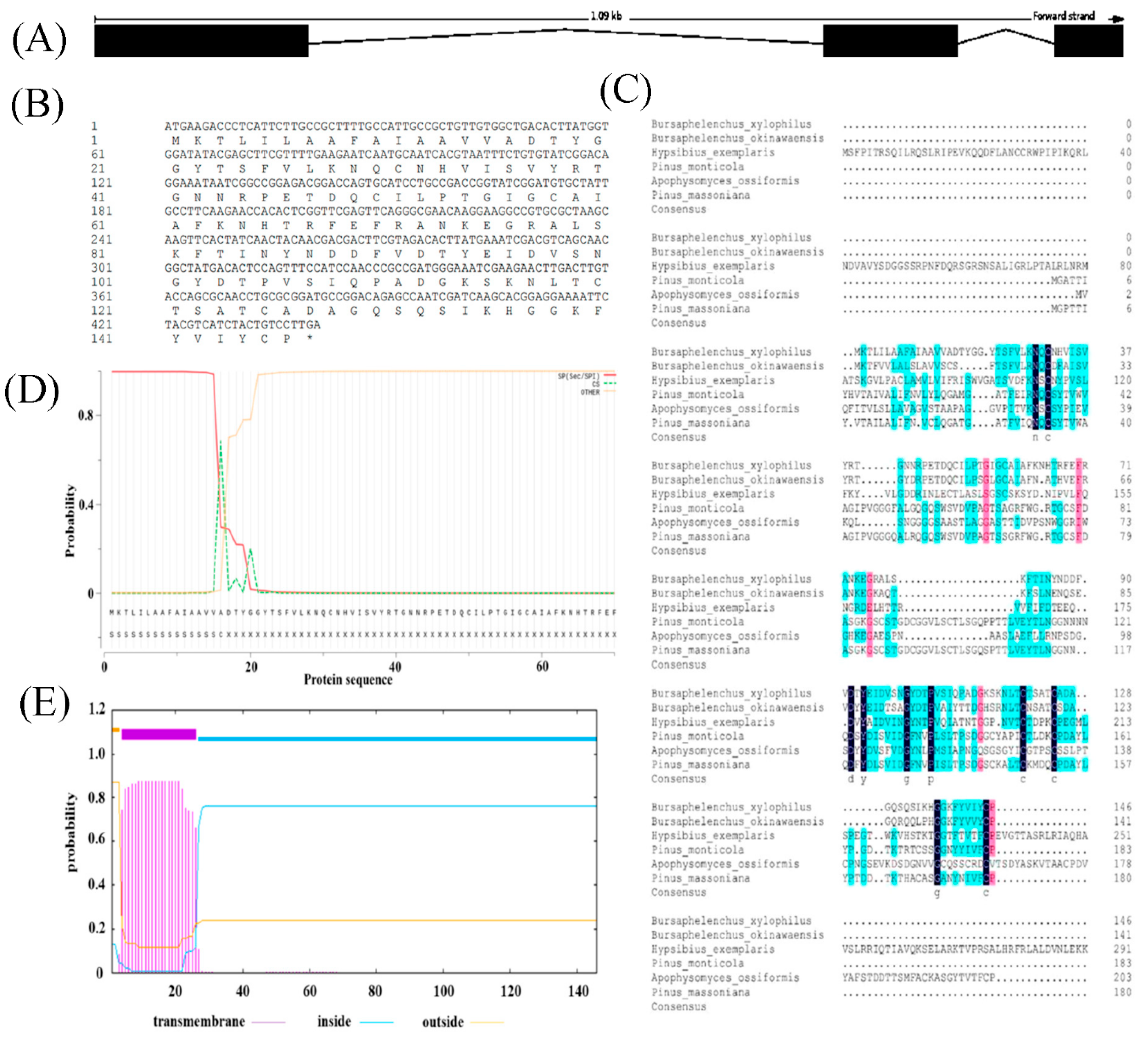 Preprints 163201 g001