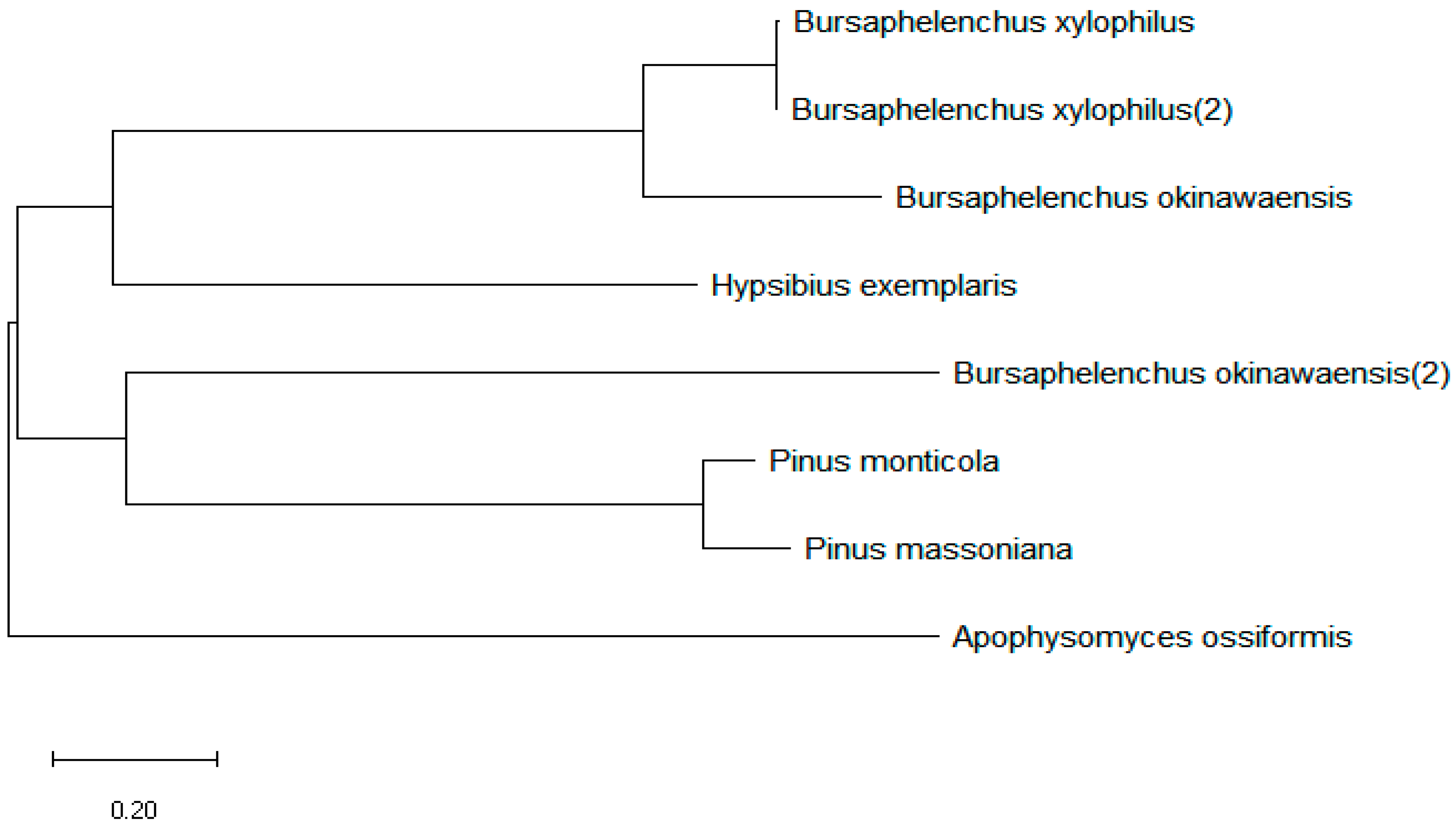 Preprints 163201 g002