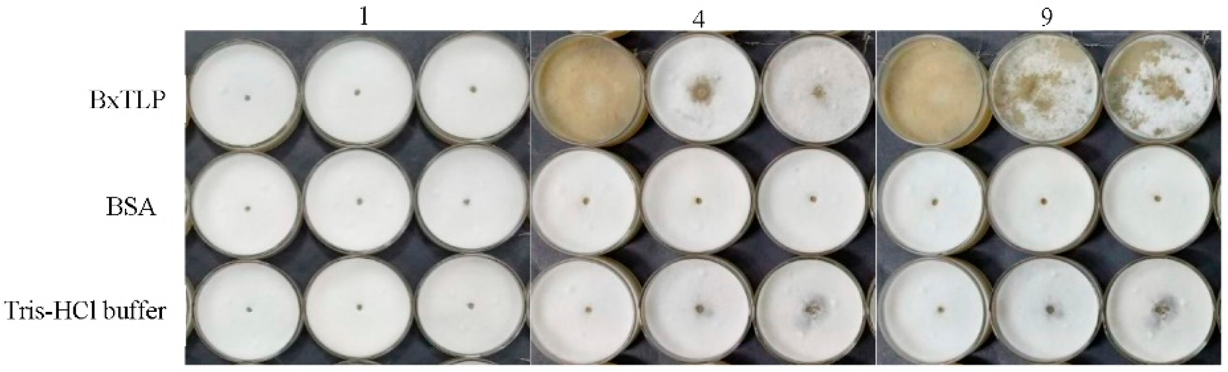 Preprints 163201 g010