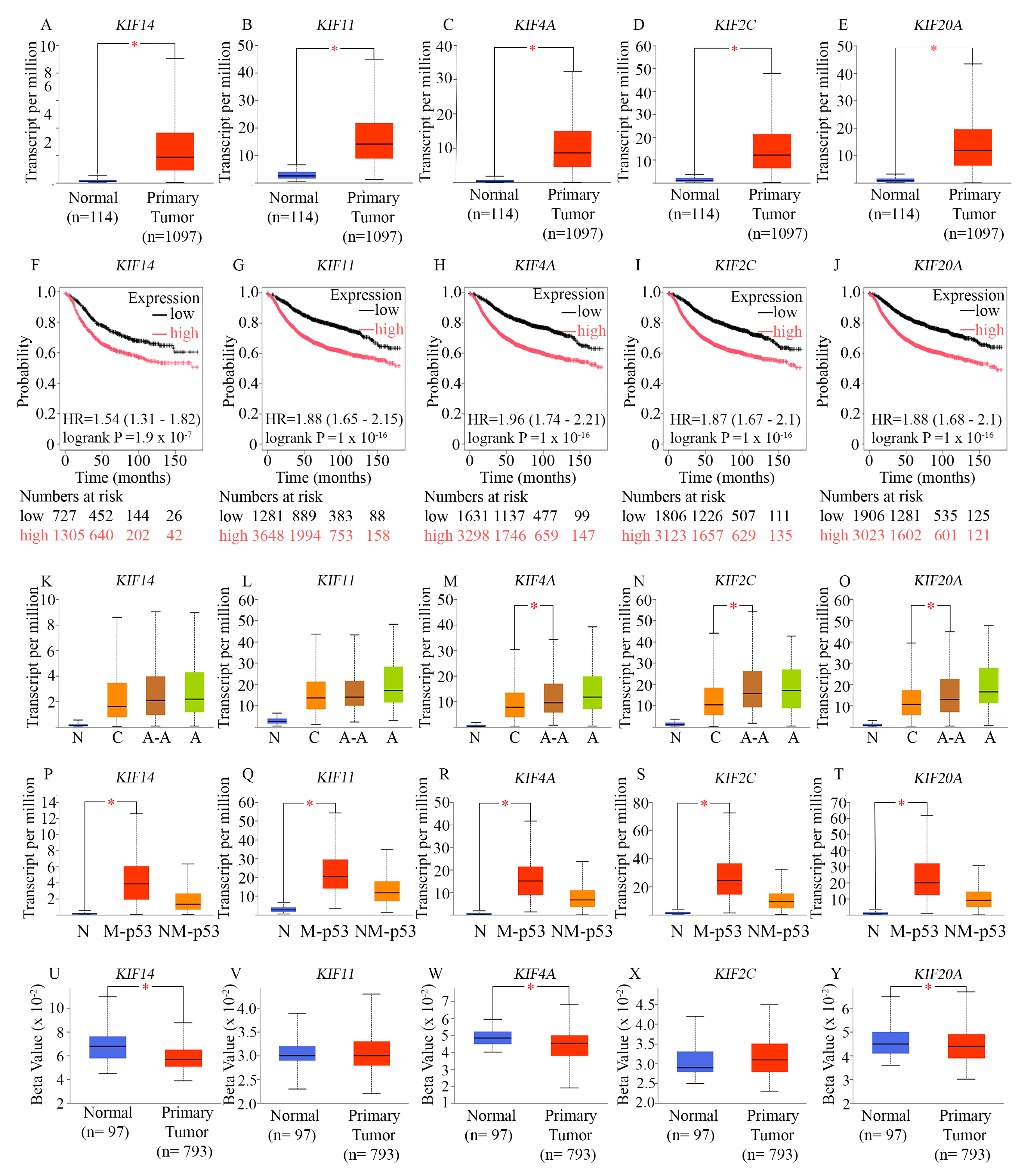 Preprints 179934 g002