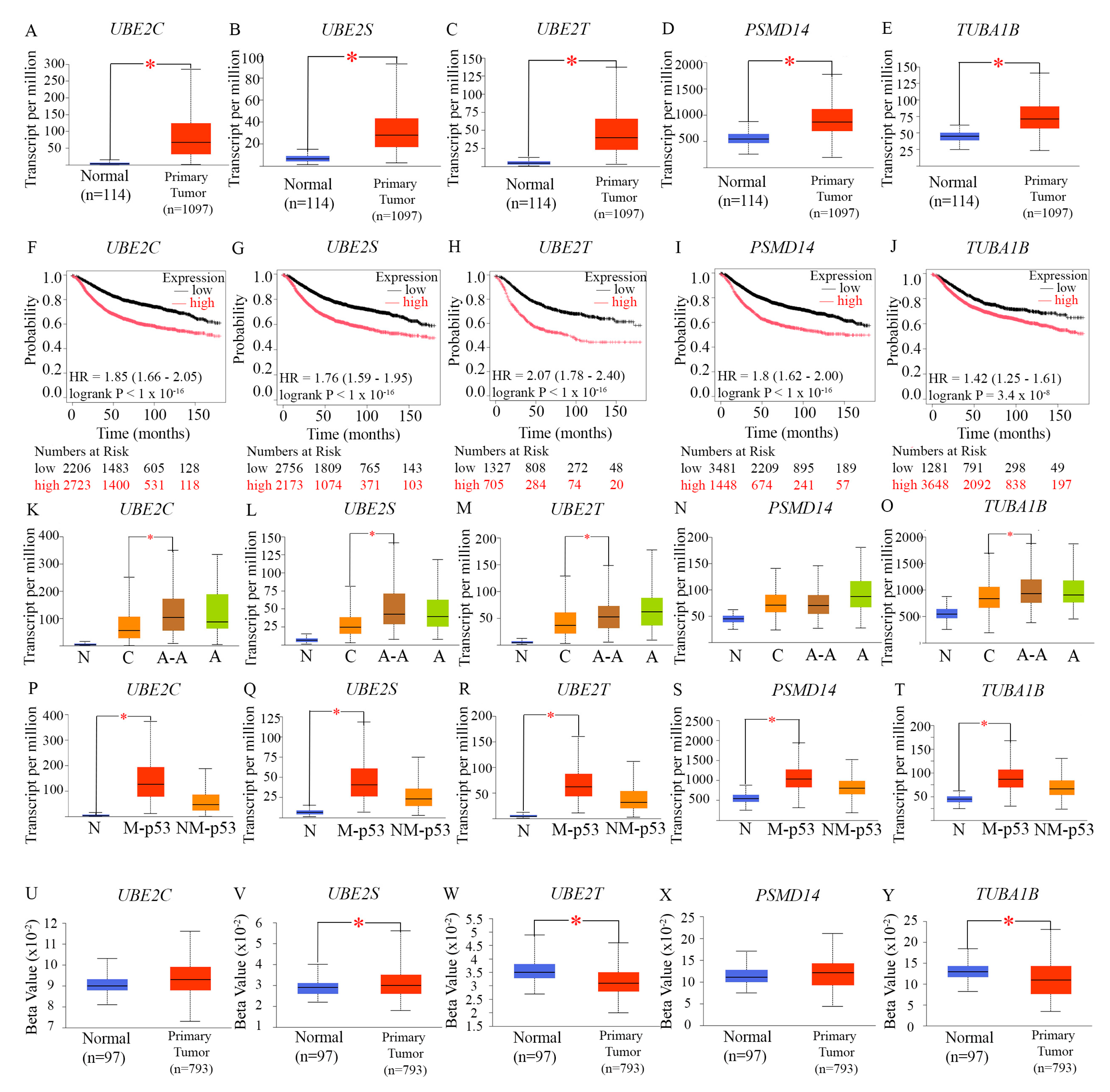 Preprints 179934 g004