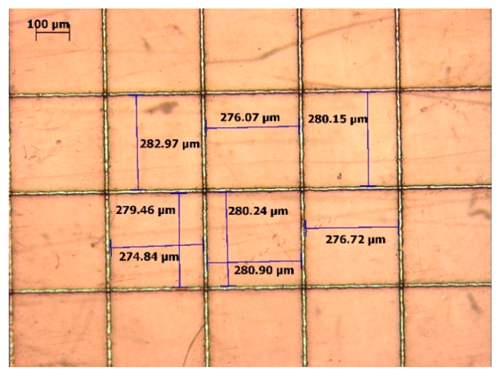 Preprints 198853 g006