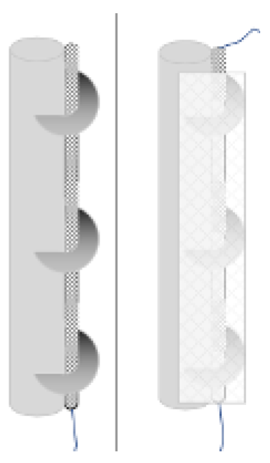 Preprints 165053 g005