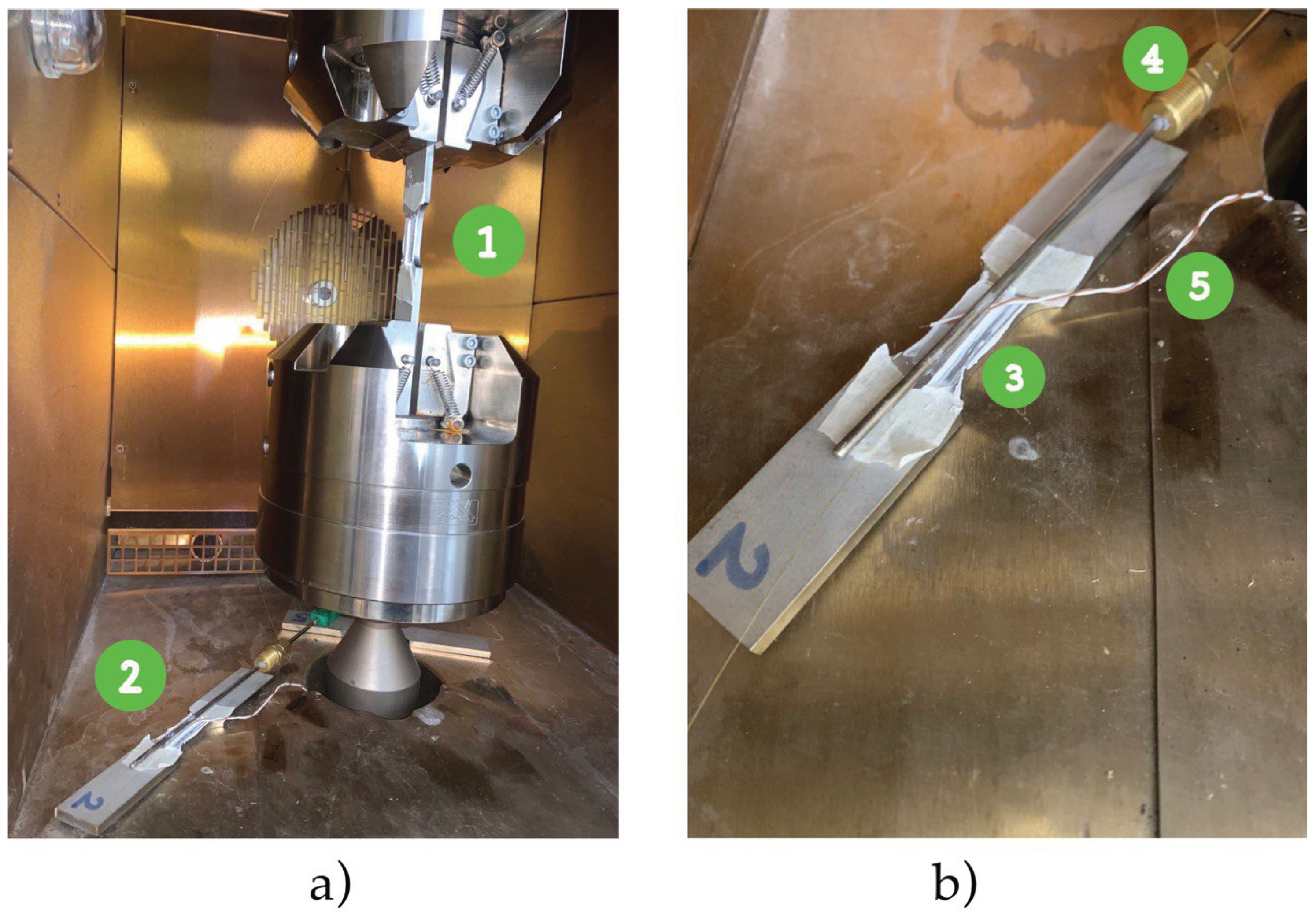 Preprints 165053 g015