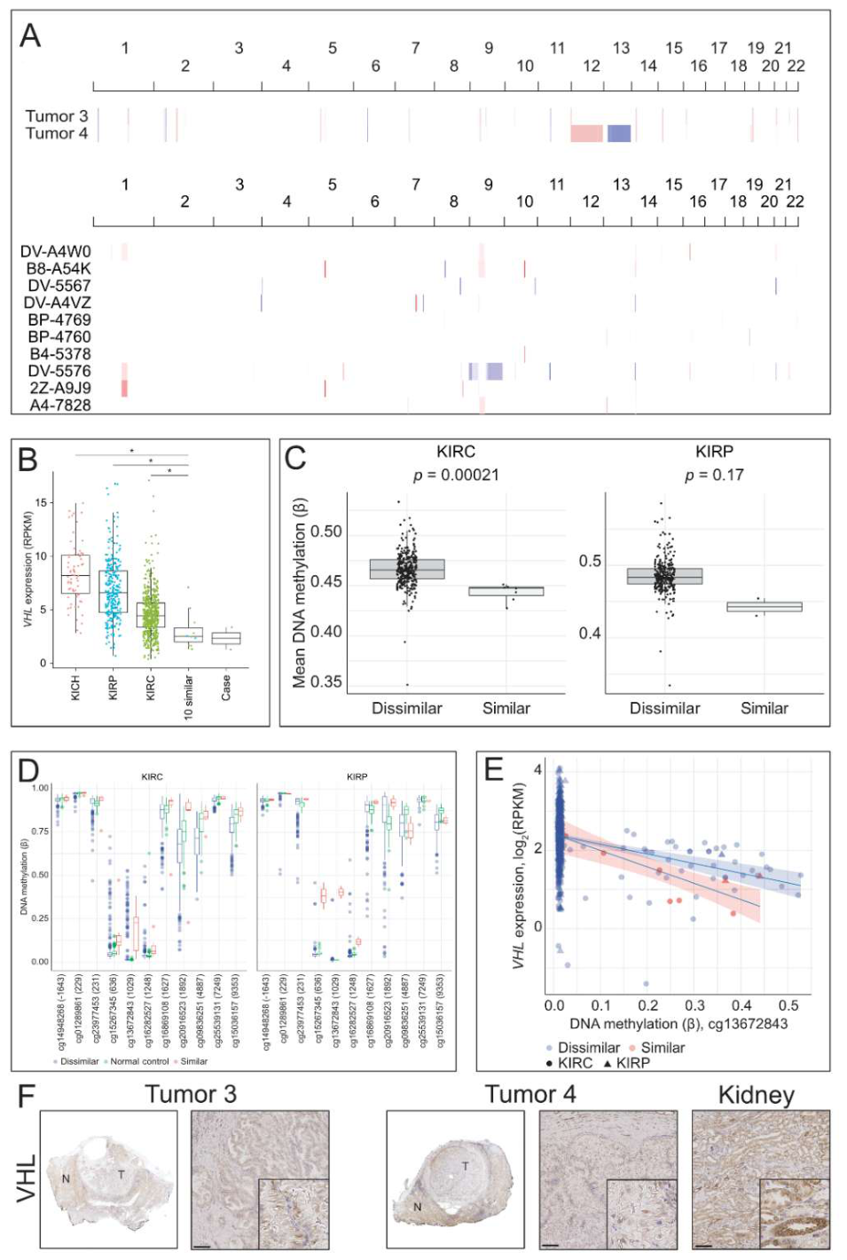 Preprints 218353 g003 Preprints 218353 g003