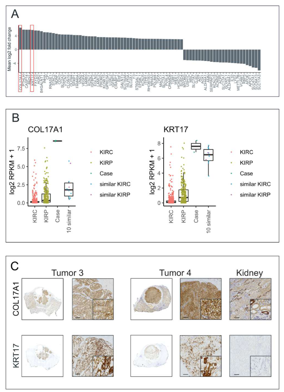 Preprints 218353 g005 Preprints 218353 g005