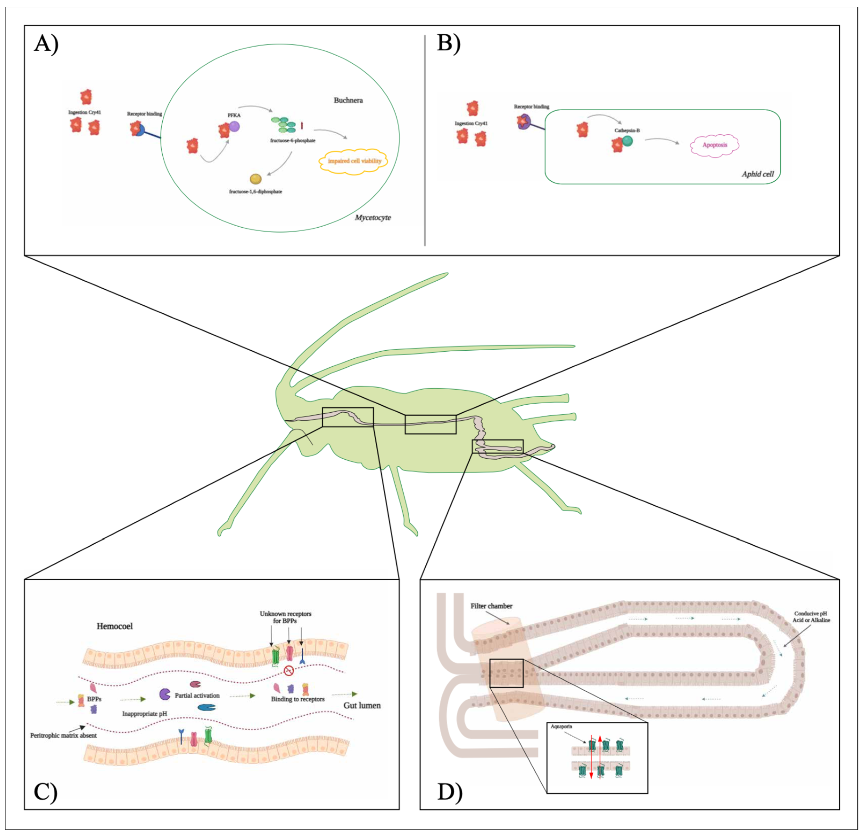 Preprints 148551 g001