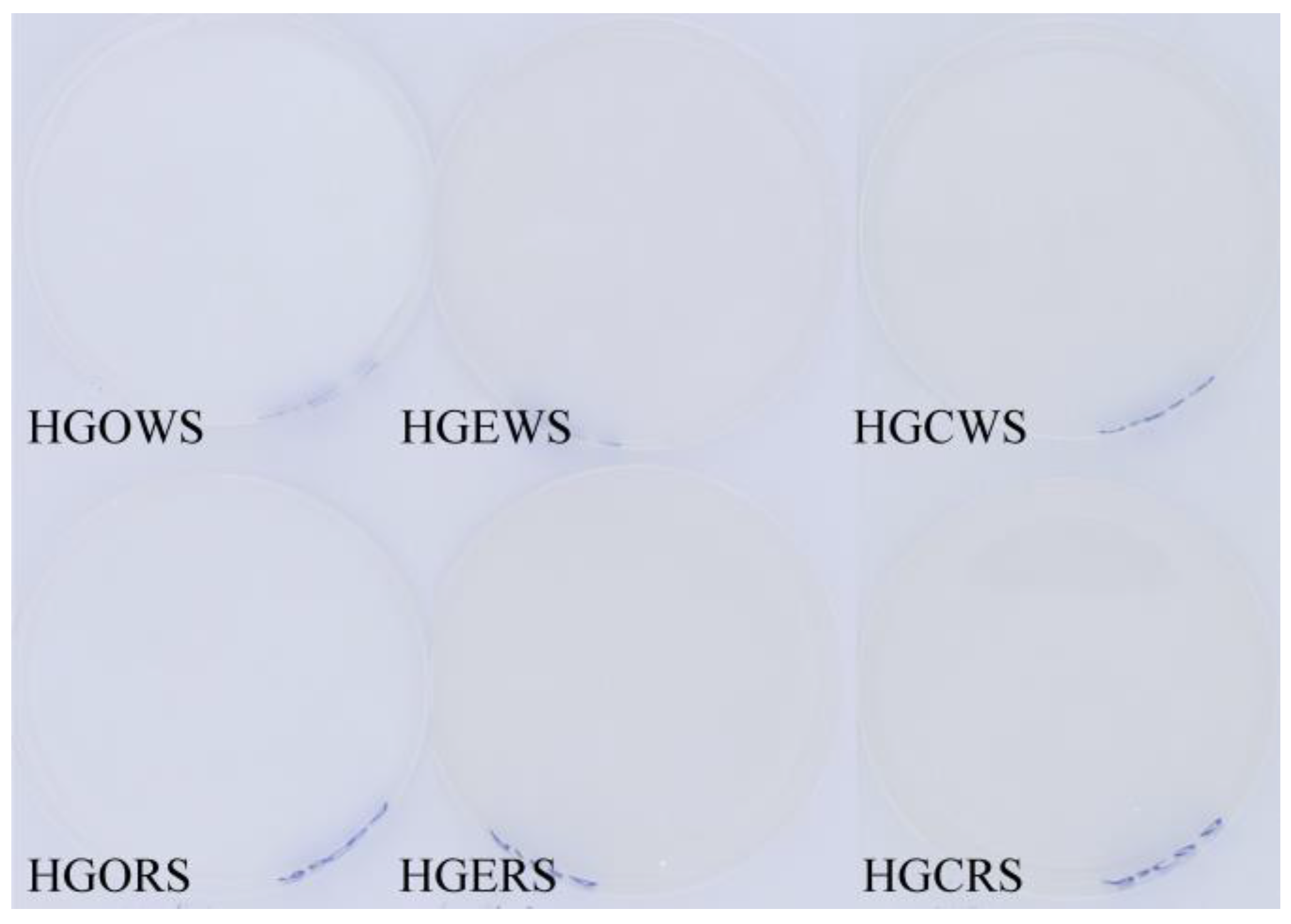 Preprints 225548 g003 Preprints 225548 g003