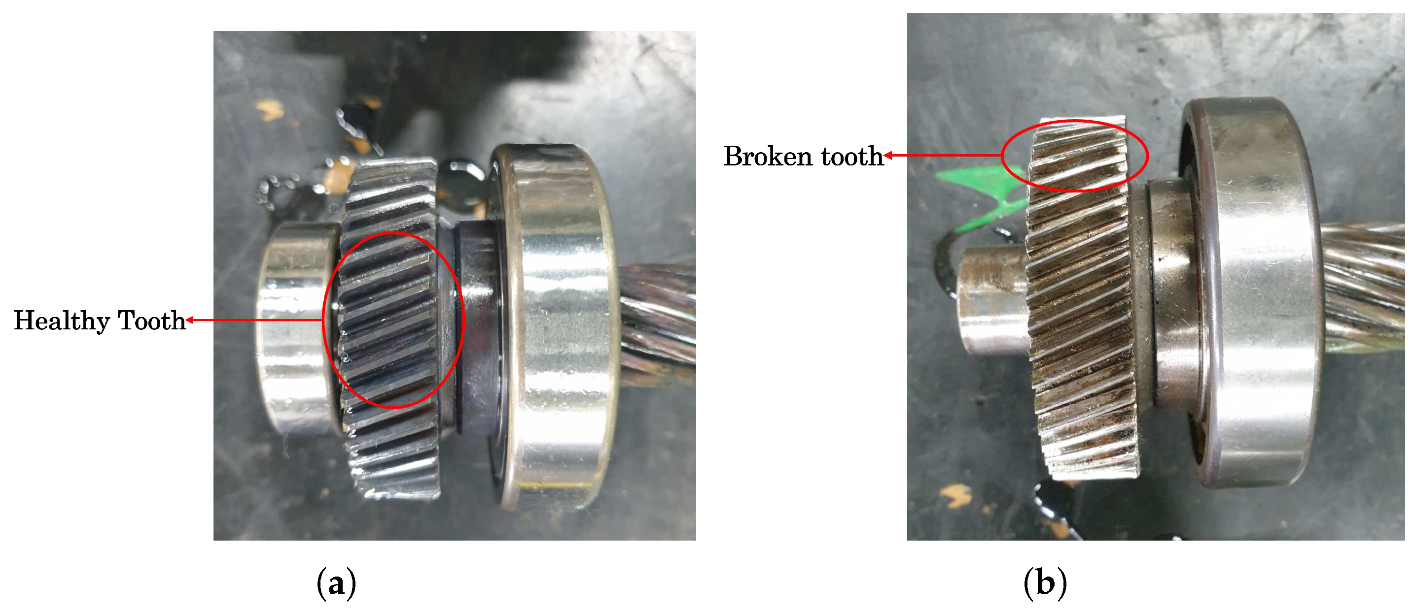 Preprints 87237 g004
