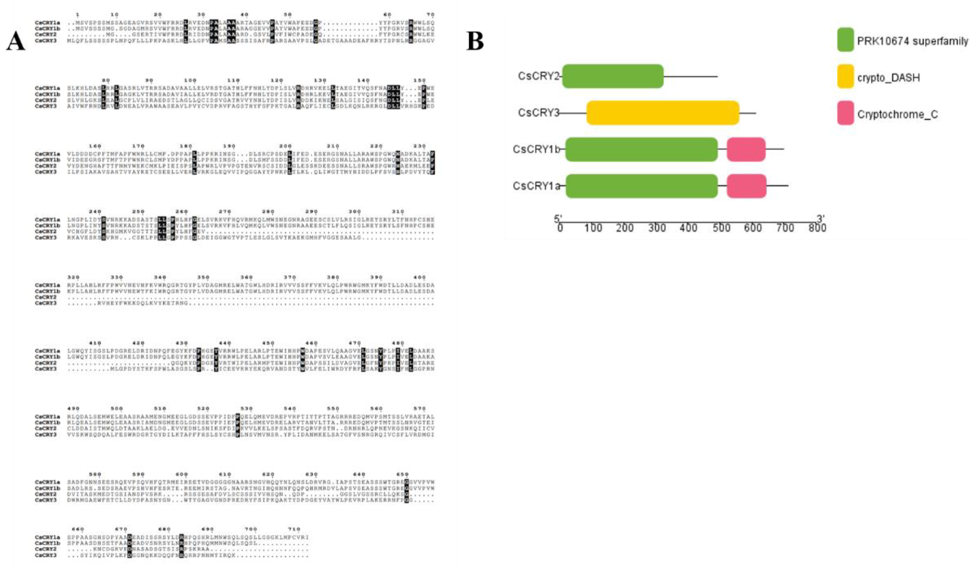 Preprints 152038 g001