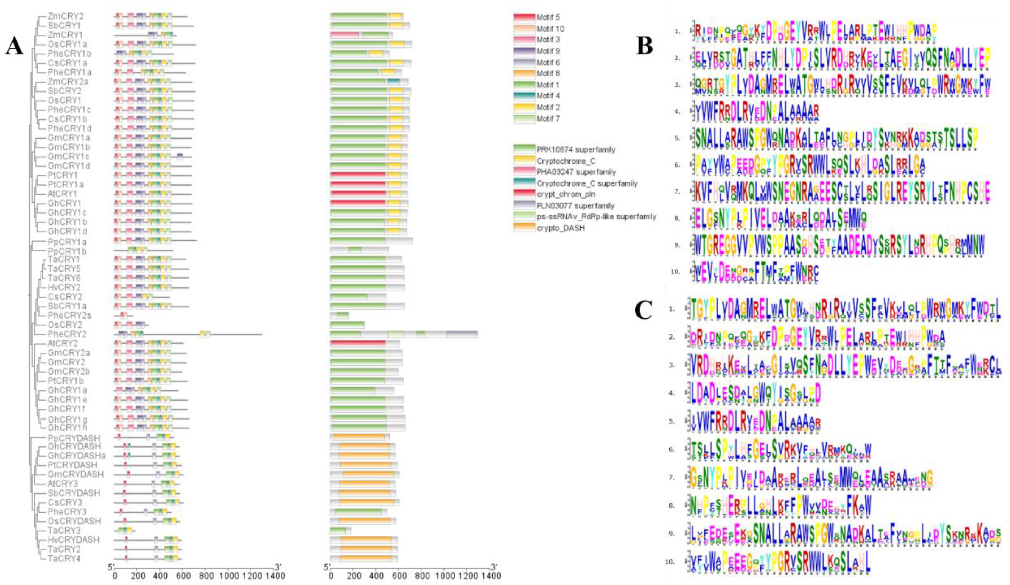 Preprints 152038 g002
