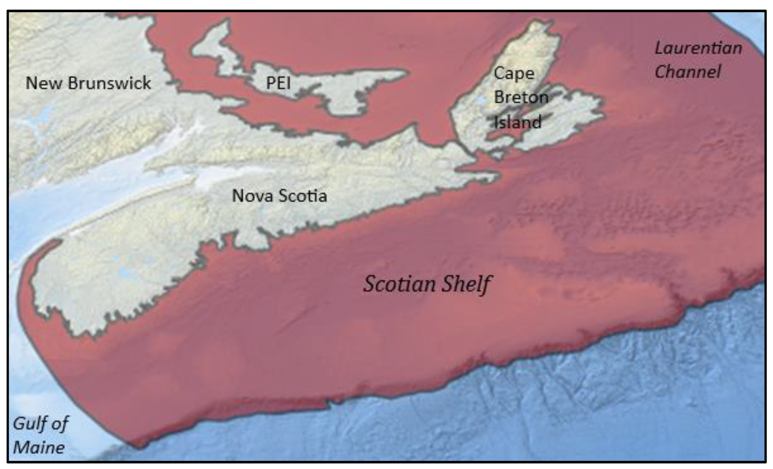 Preprints 202358 g001