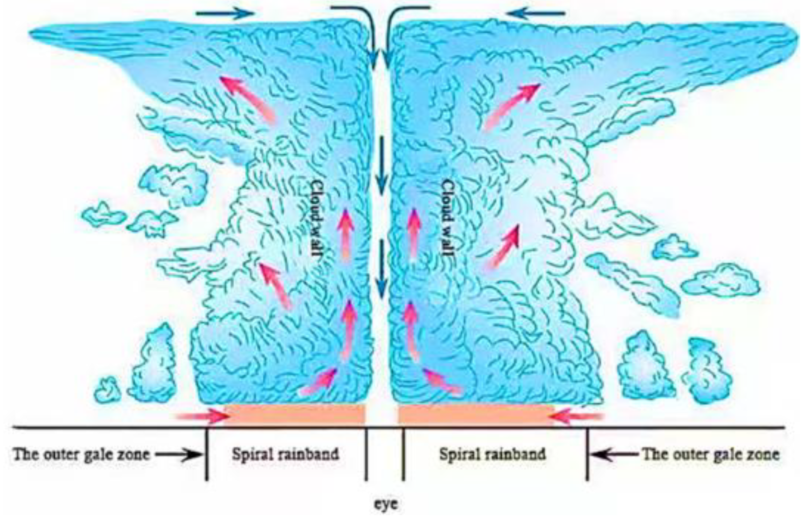 Preprints 202358 g004