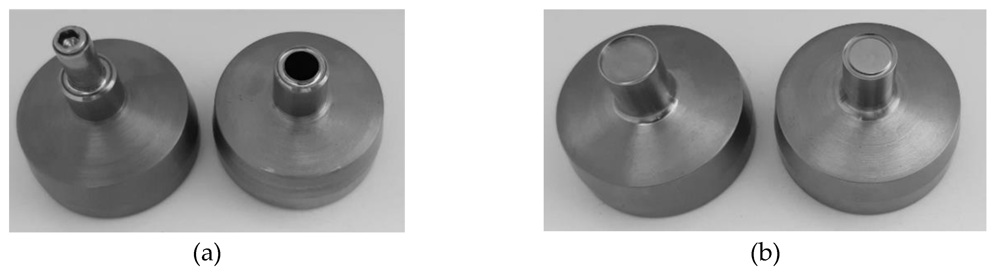 Preprints 161995 g010