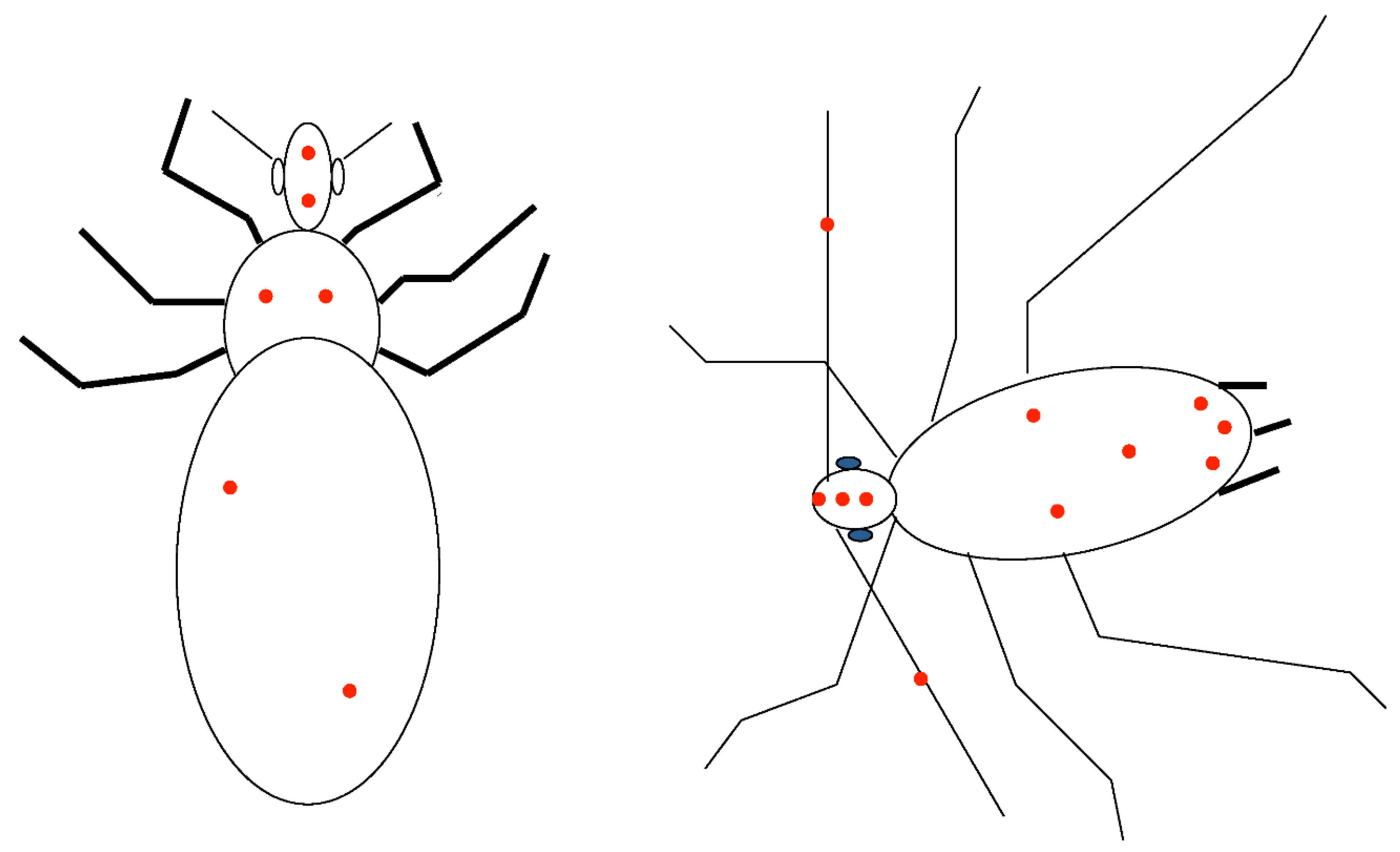 Preprints 94344 g002