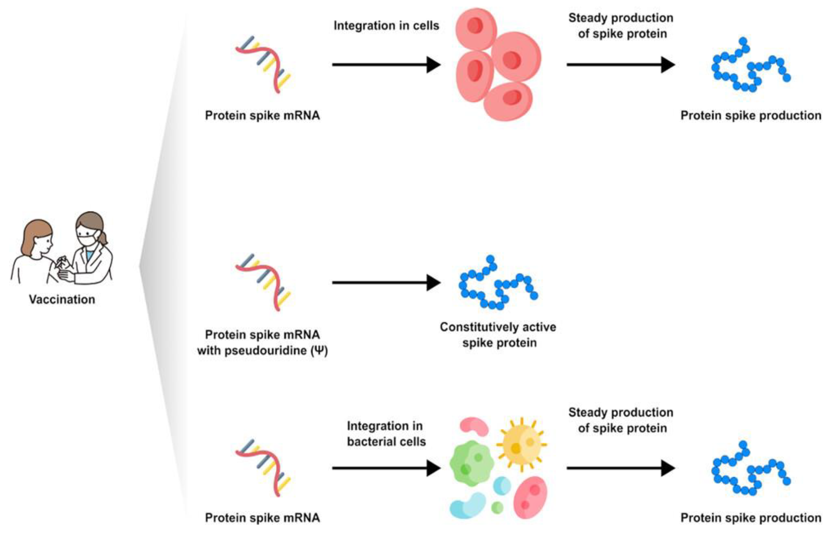 Preprints 168242 g003