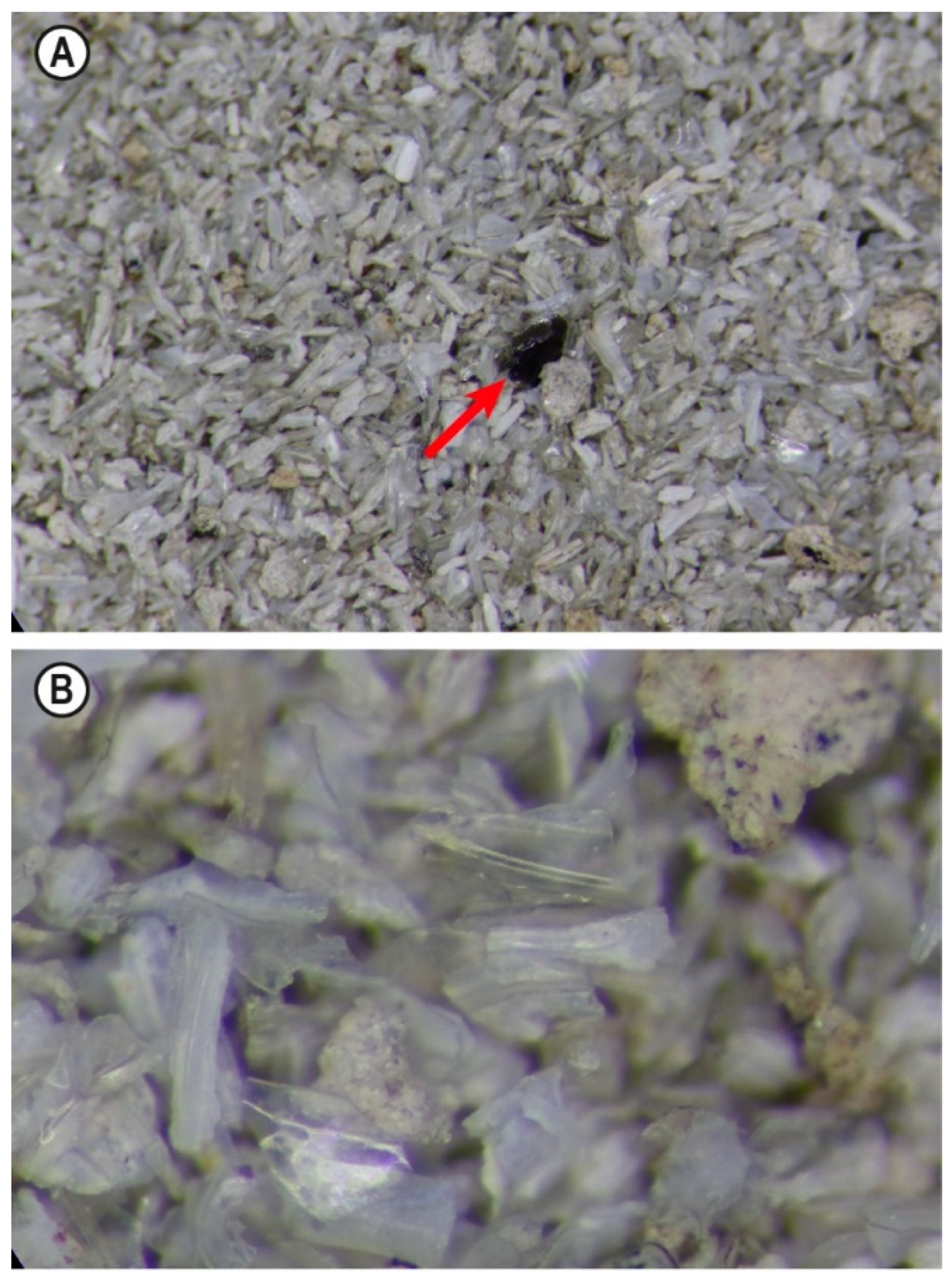 Preprints 94306 g004