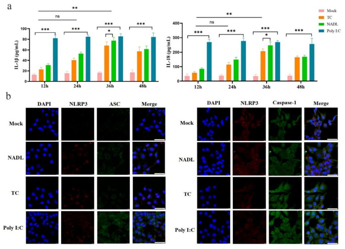 Preprints 214627 g001