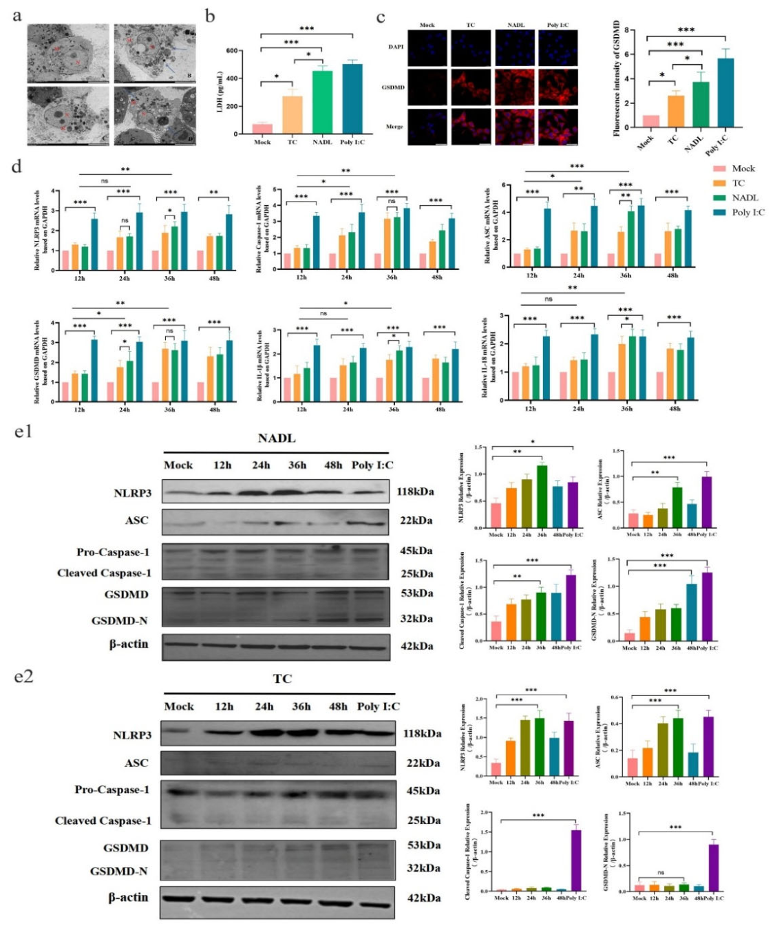 Preprints 214627 g002