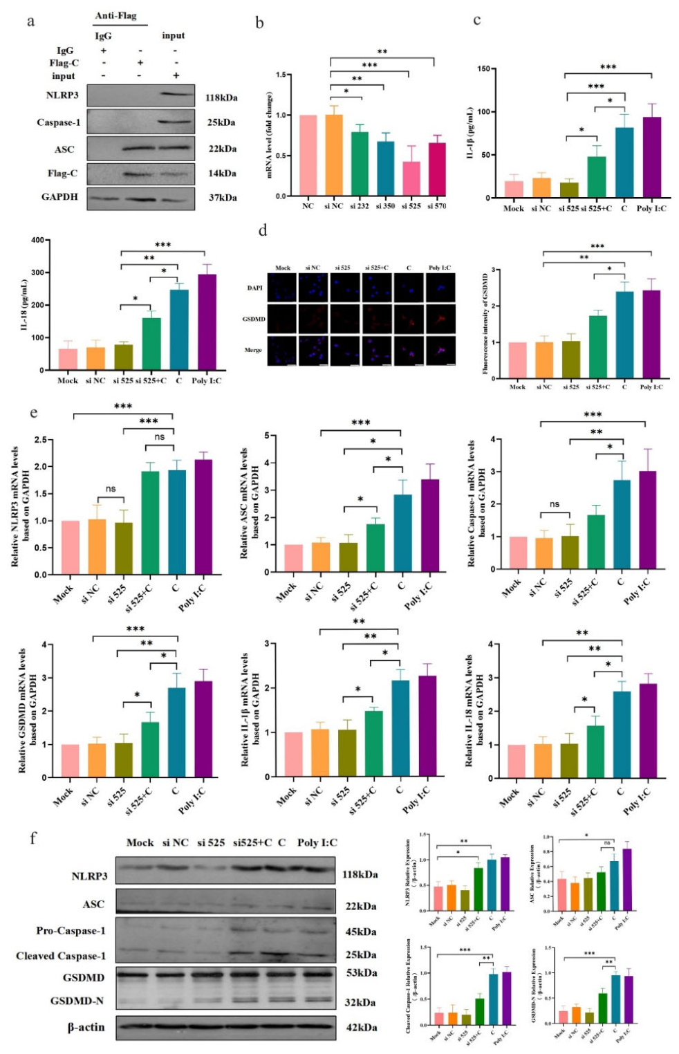 Preprints 214627 g004