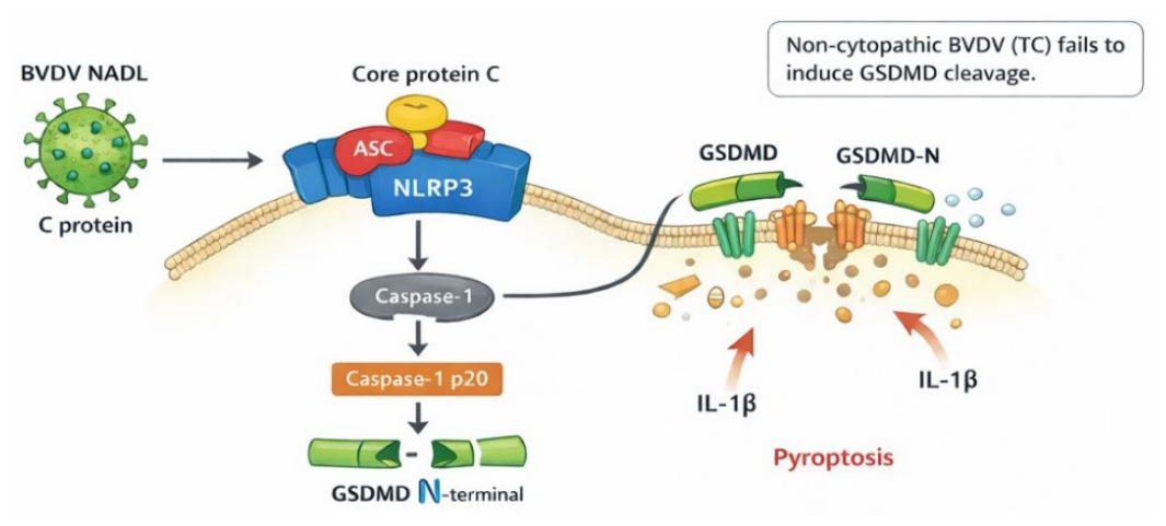 Preprints 214627 g005