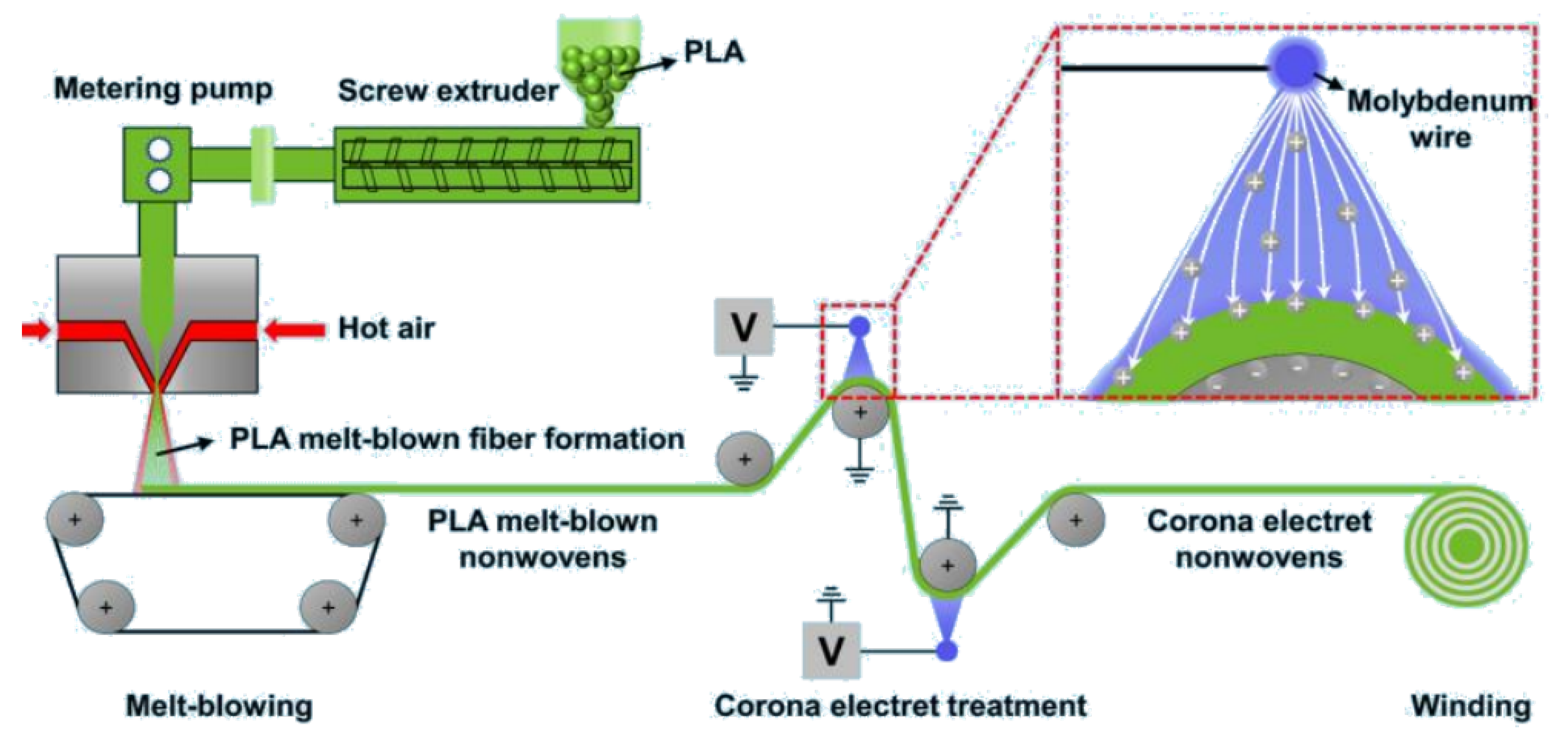 Preprints 150011 g006