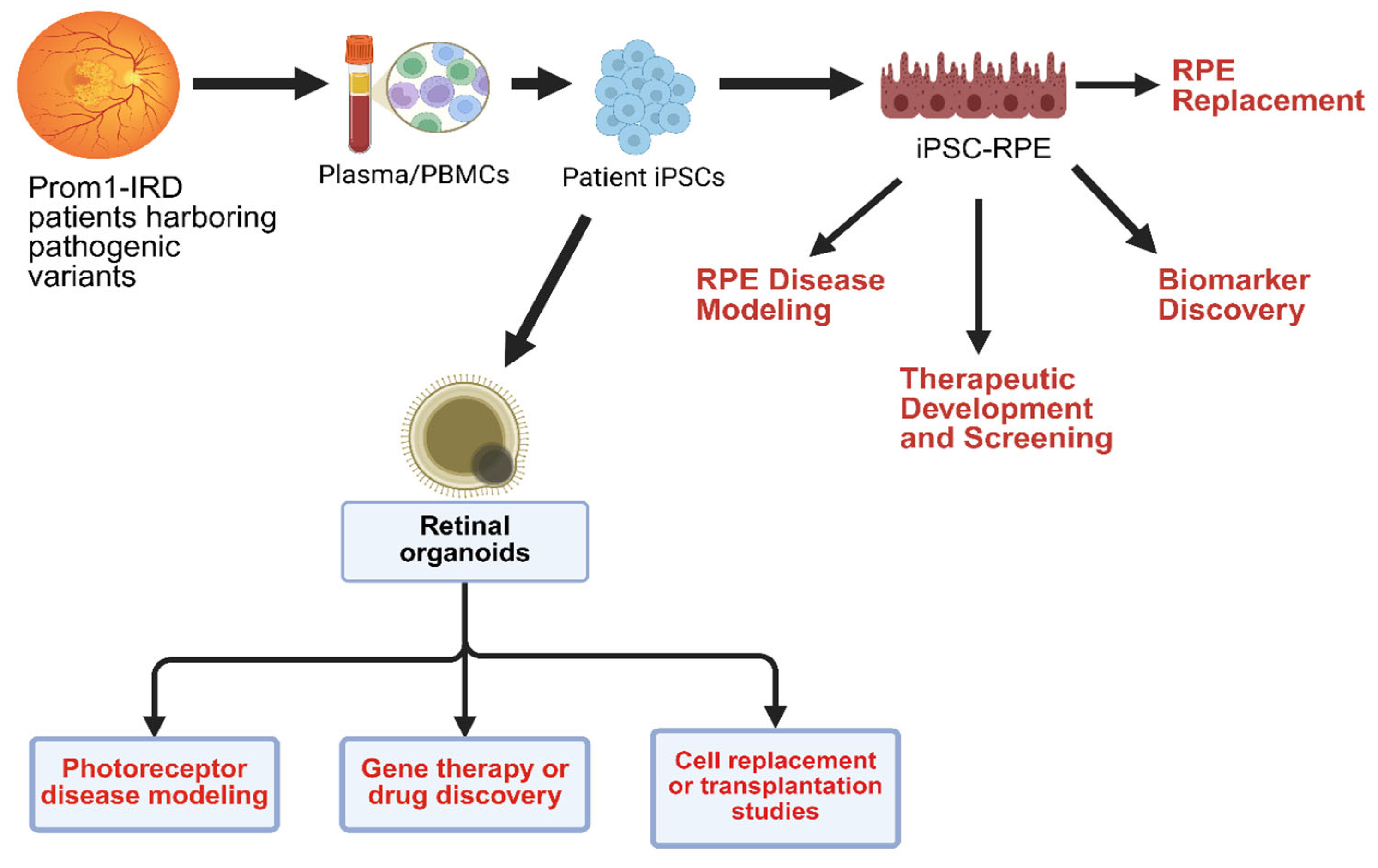 Preprints 202721 g008