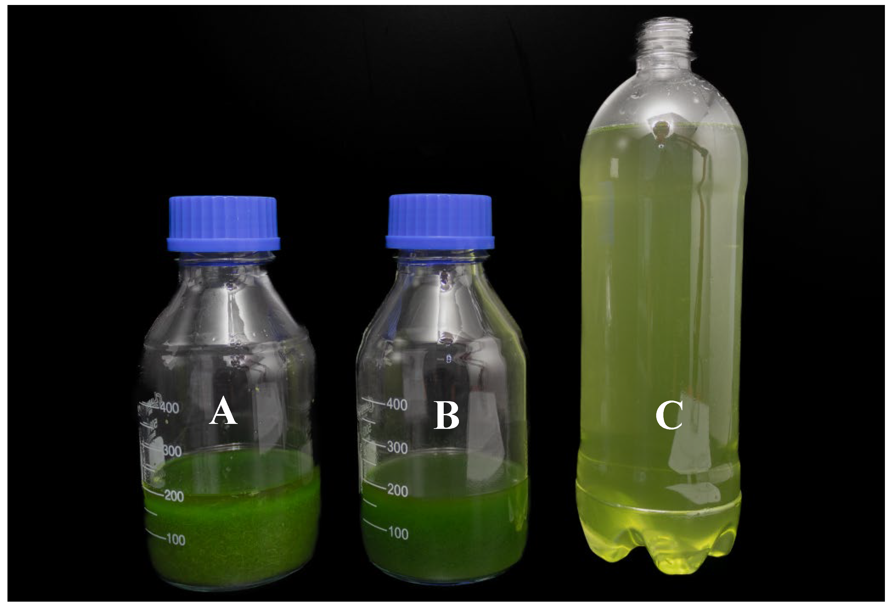 Preprints 150805 g004