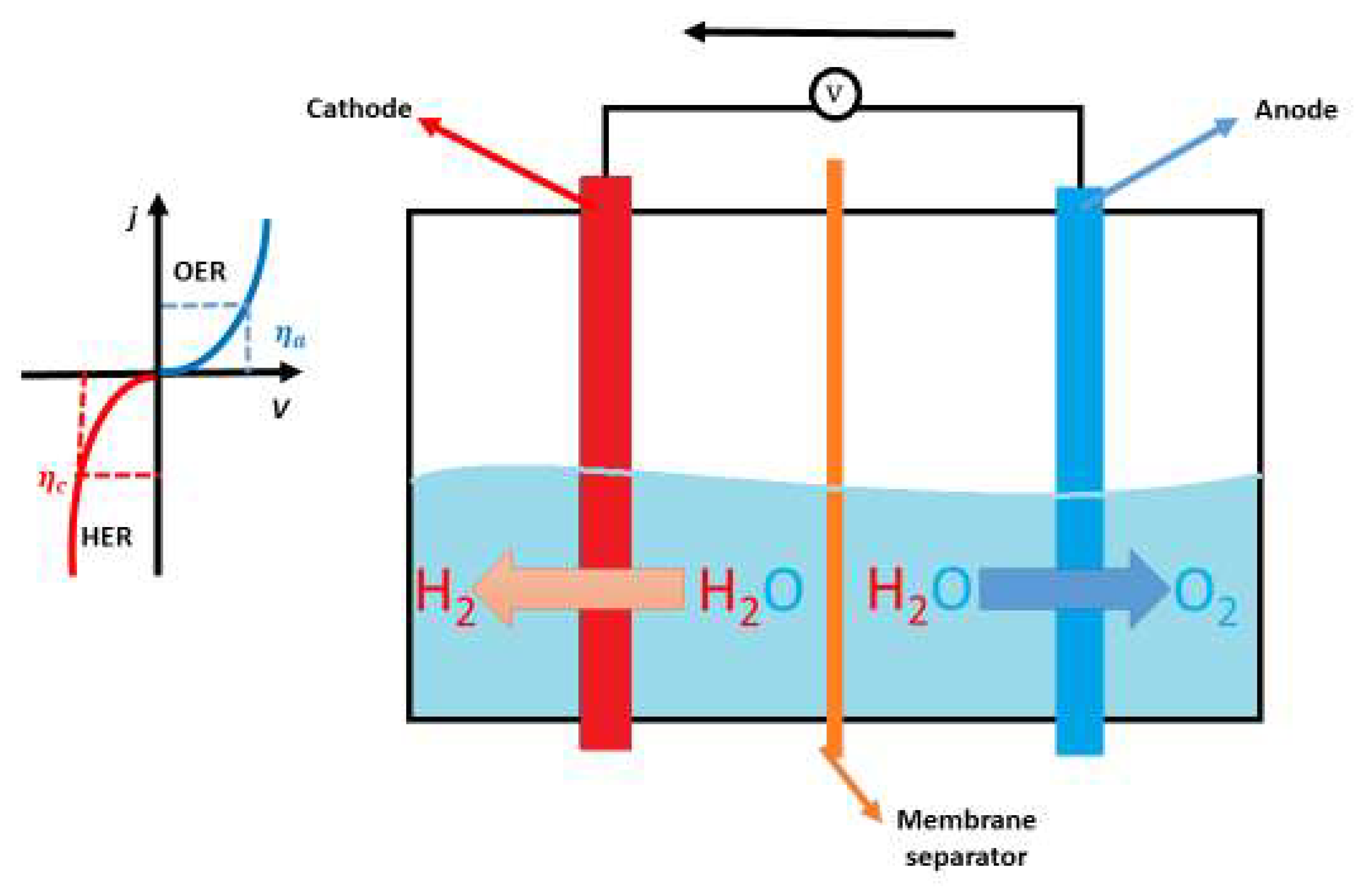 Preprints 148487 g004
