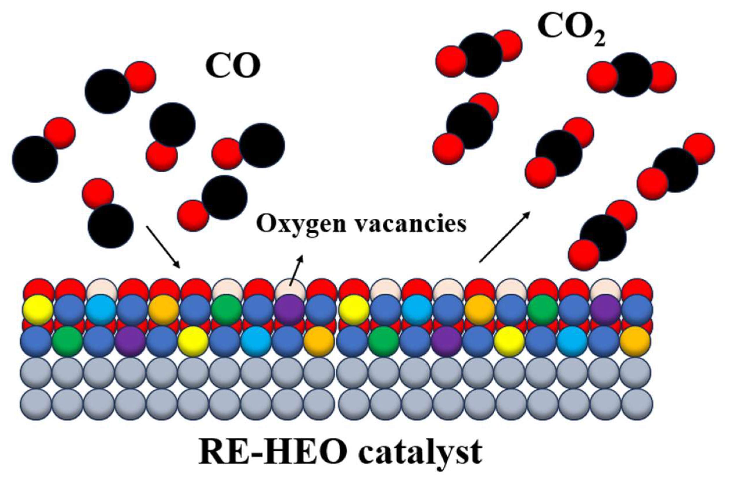 Preprints 148487 g005
