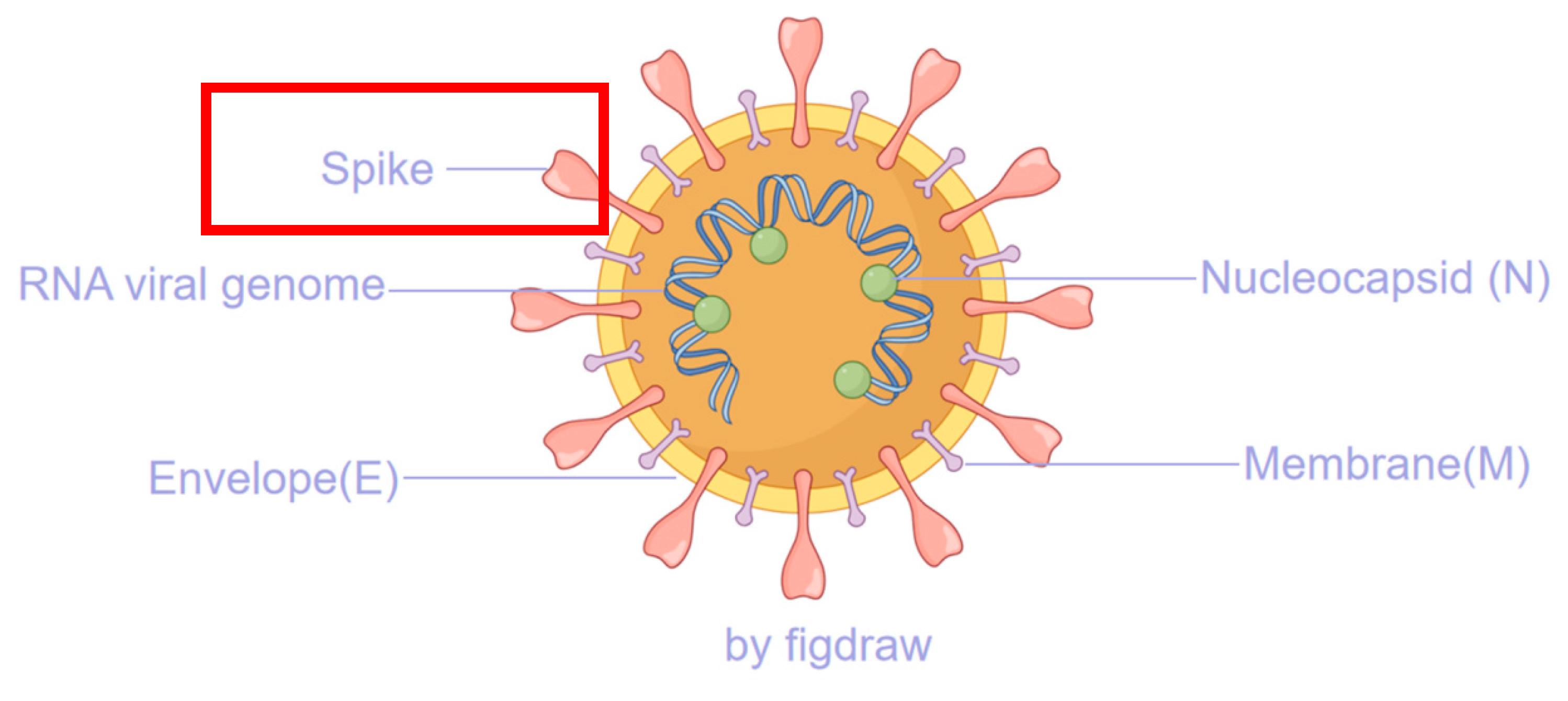 Preprints 177319 g001