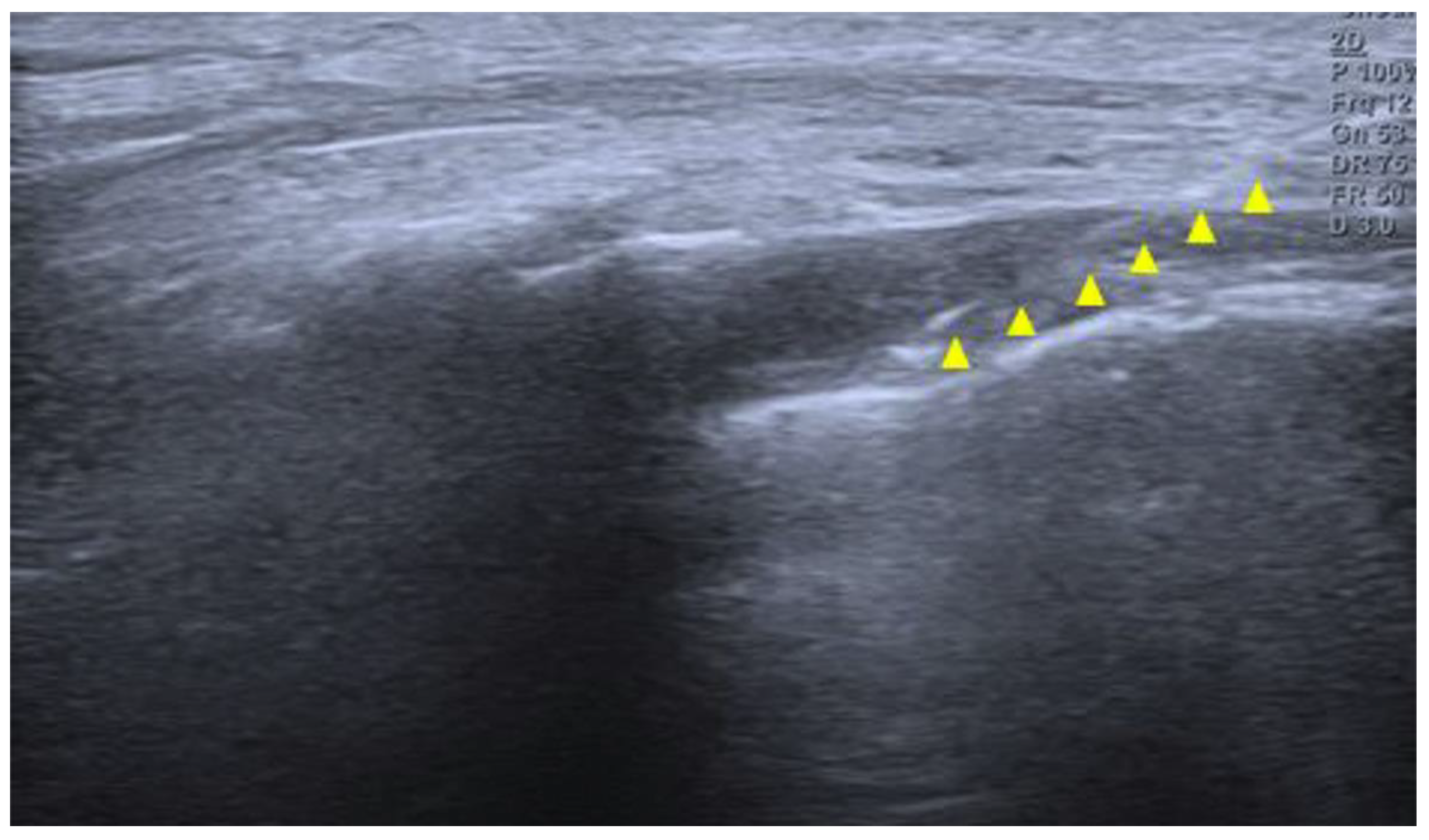 Preprints 188847 g002