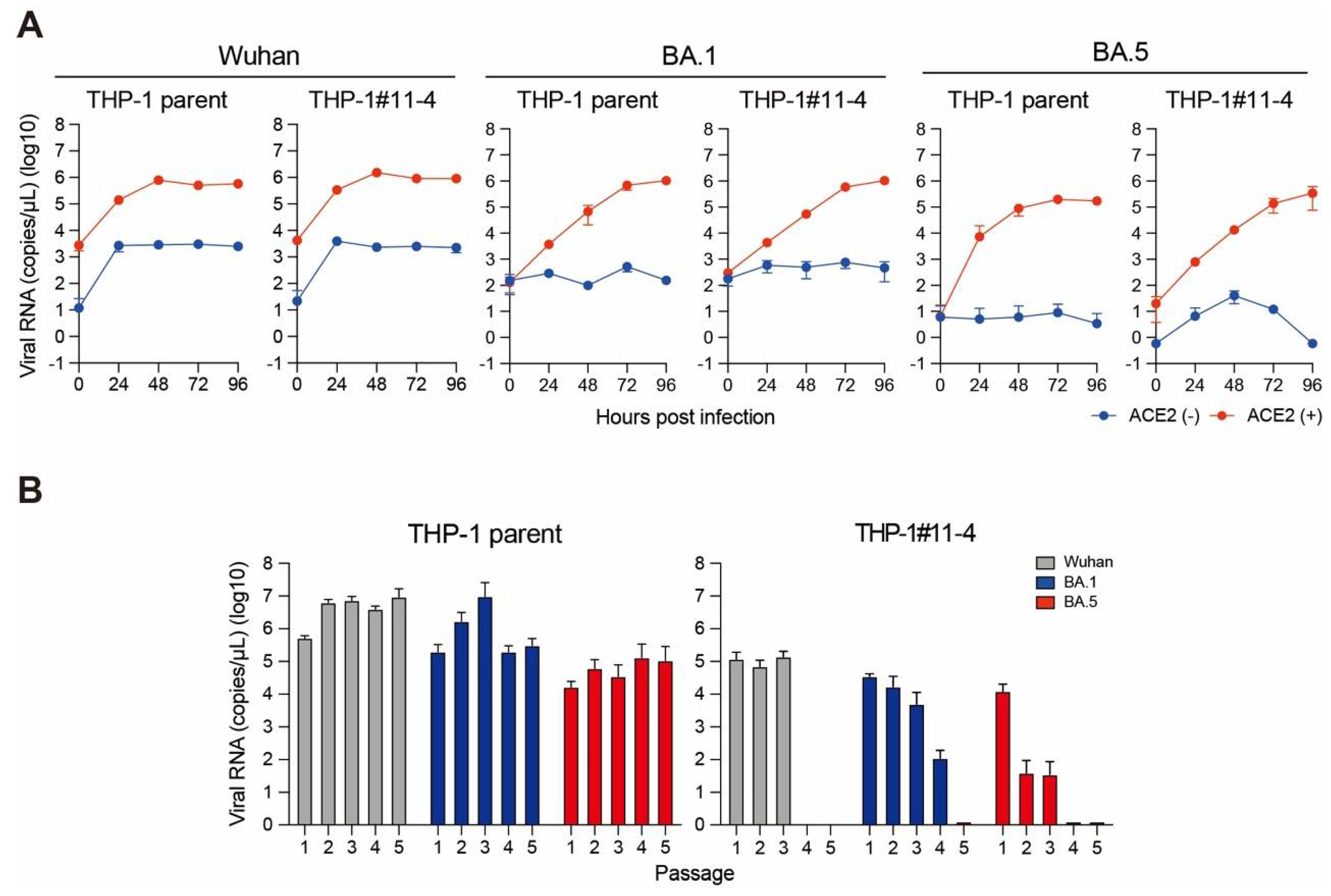 Preprints 109520 g002