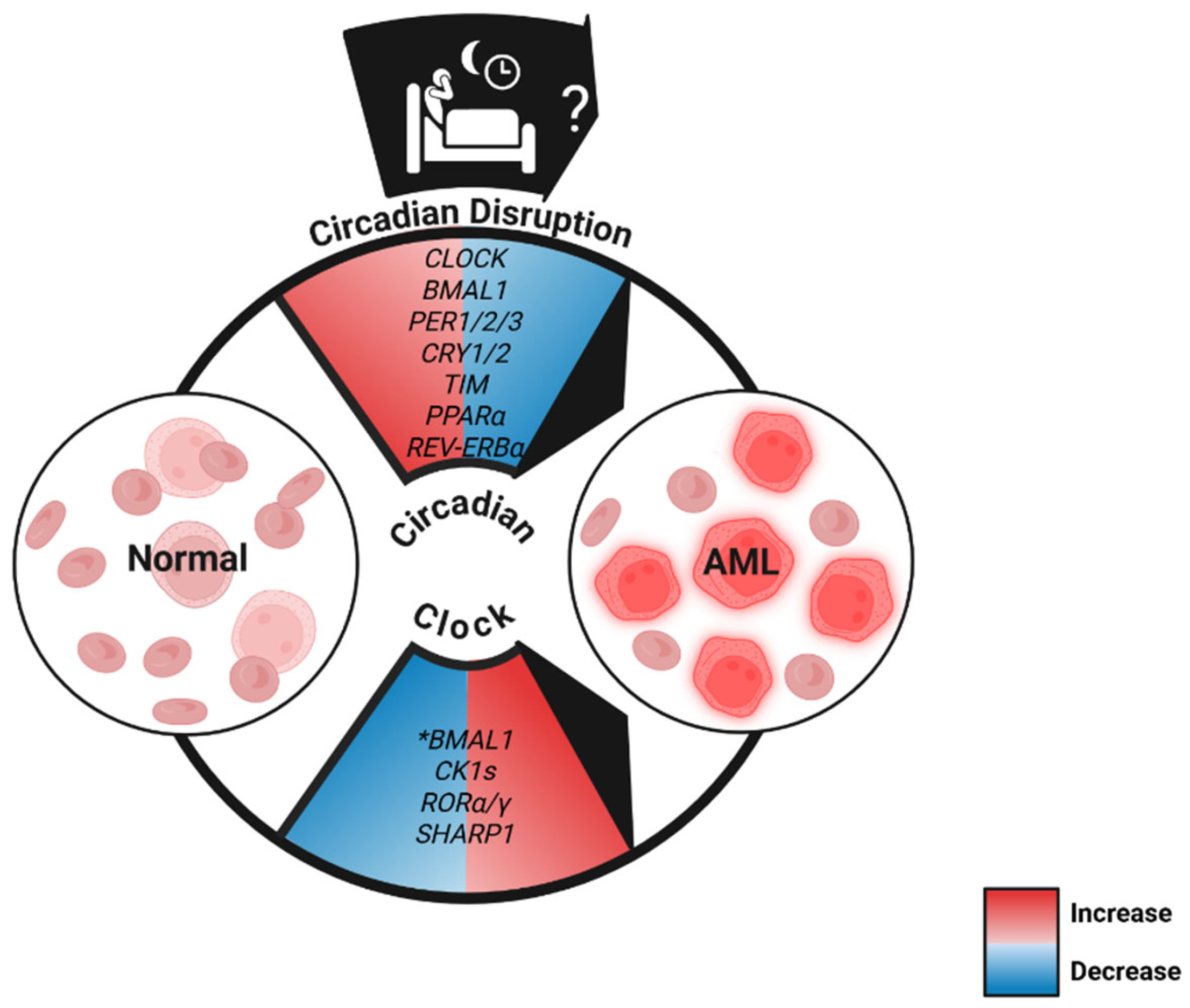 Can Disruption of Circadian Rhythms Be Linked to Radiation‐Induced