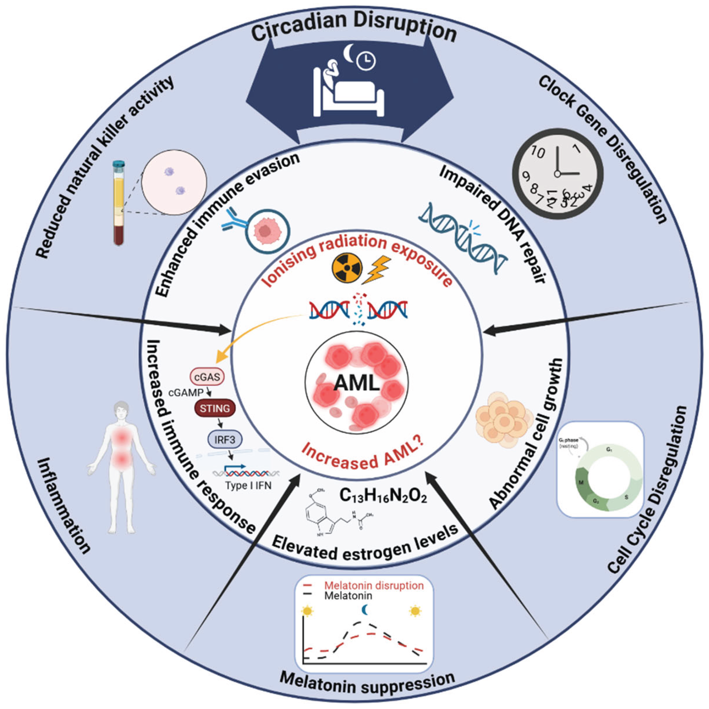 Can Disruption of Circadian Rhythms Be Linked to Radiation‐Induced