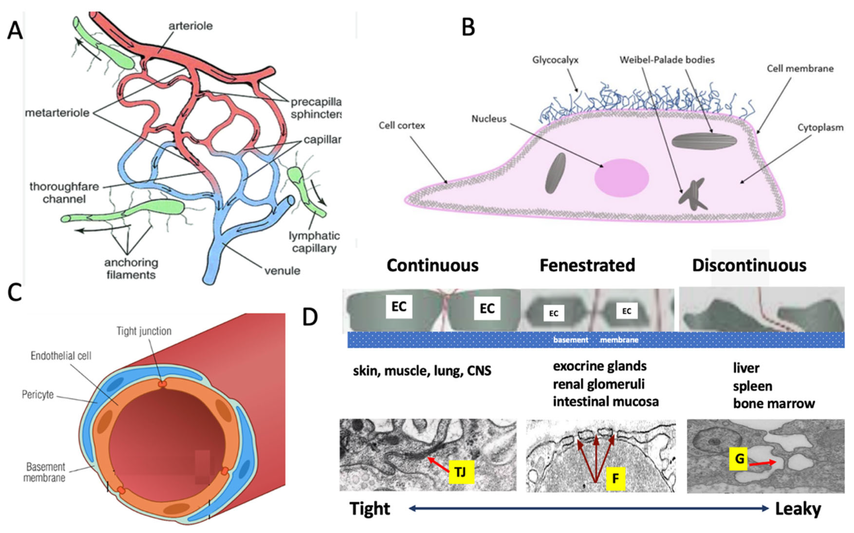 Preprints 163448 g001